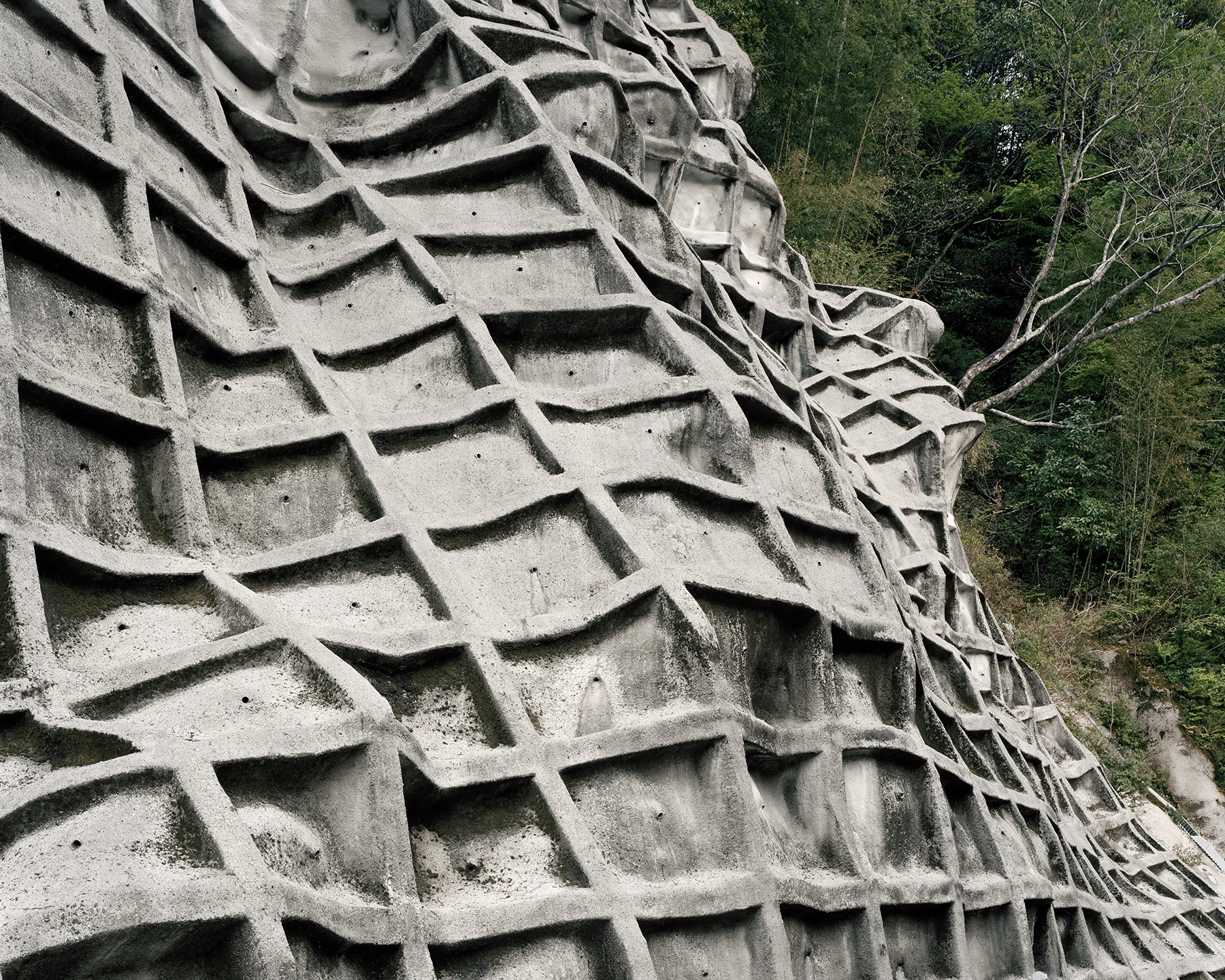 MIYAZAKI by Mark Power, photographed by Mark Power — A close view of cast concrete slope armour, the lattice of ribs buckling as it follows the contour of the hill, green scrub crowding the right edge.