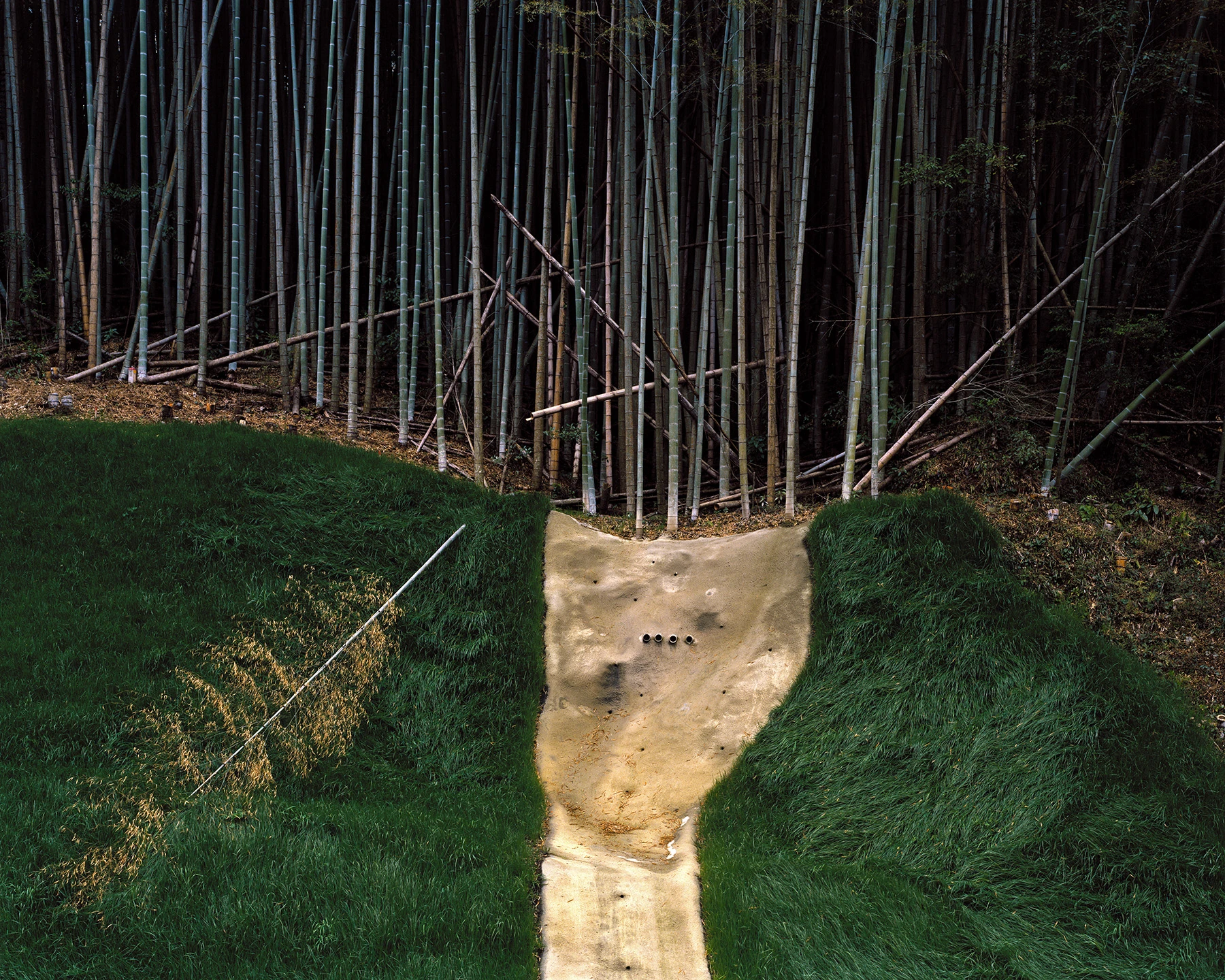 MIYAZAKI by Mark Power, photographed by Mark Power — A dark stand of bamboo above a mown grass bank split by a pale concrete channel, culvert pipes set into the slope where the two meet.