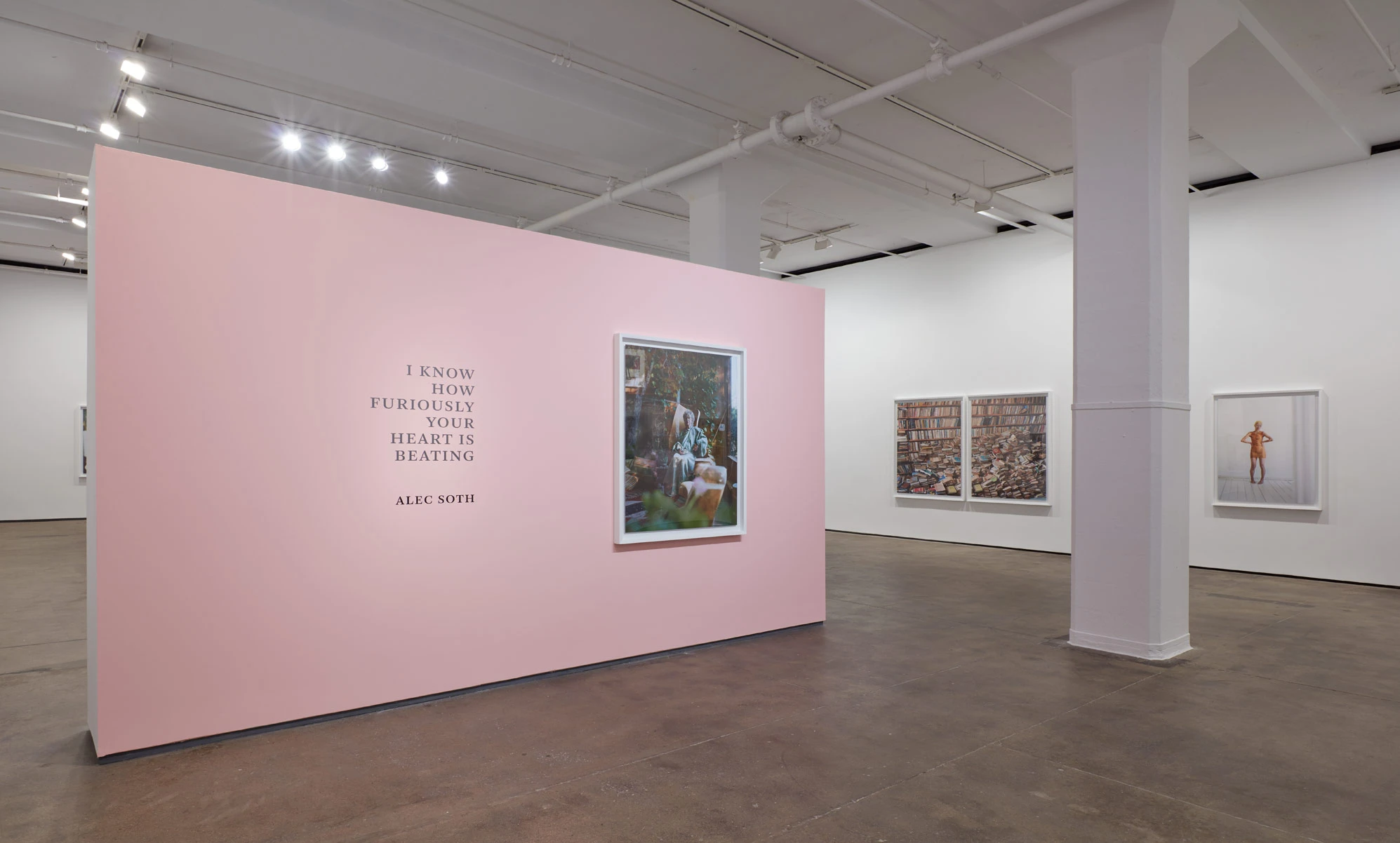 Installation view, a freestanding pink wall carrying the exhibition title beside a single framed photograph, further prints ranged along the white walls of the room behind.