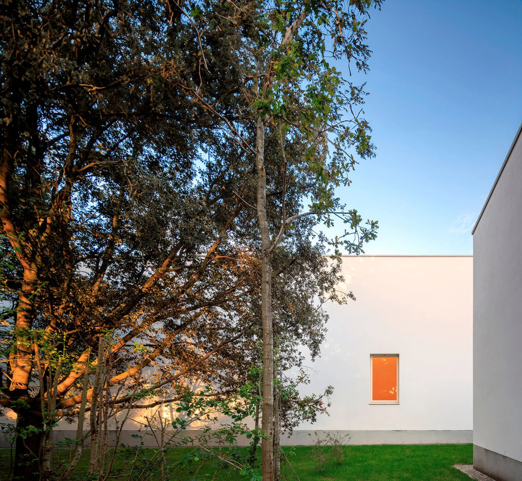Serralves Museum New Wing by Álvaro Siza — A single window glowing orange in the blank white flank of the Álvaro Siza Wing at dusk, seen across the lawn through pines.