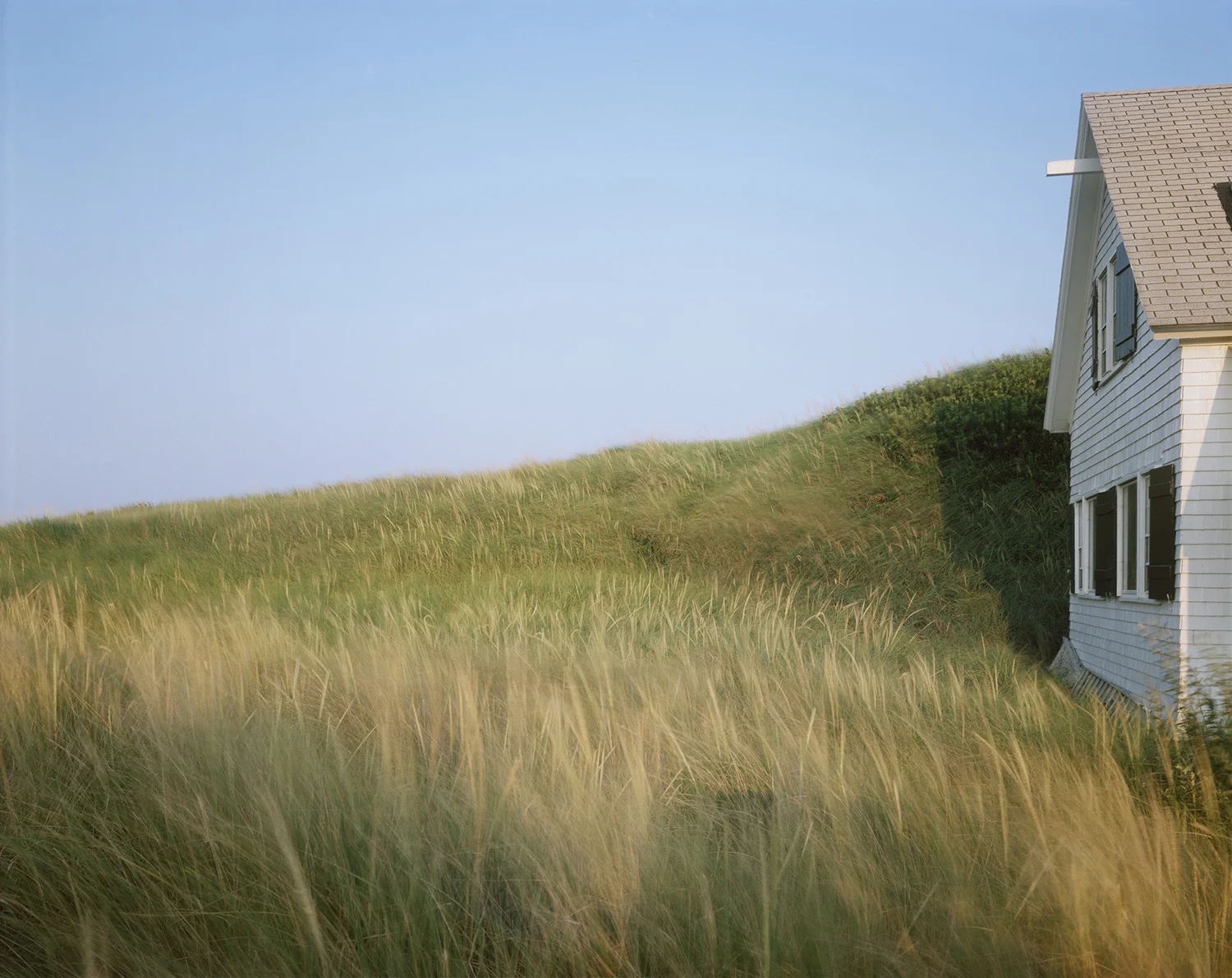 Cape Light by Joel Meyerowitz