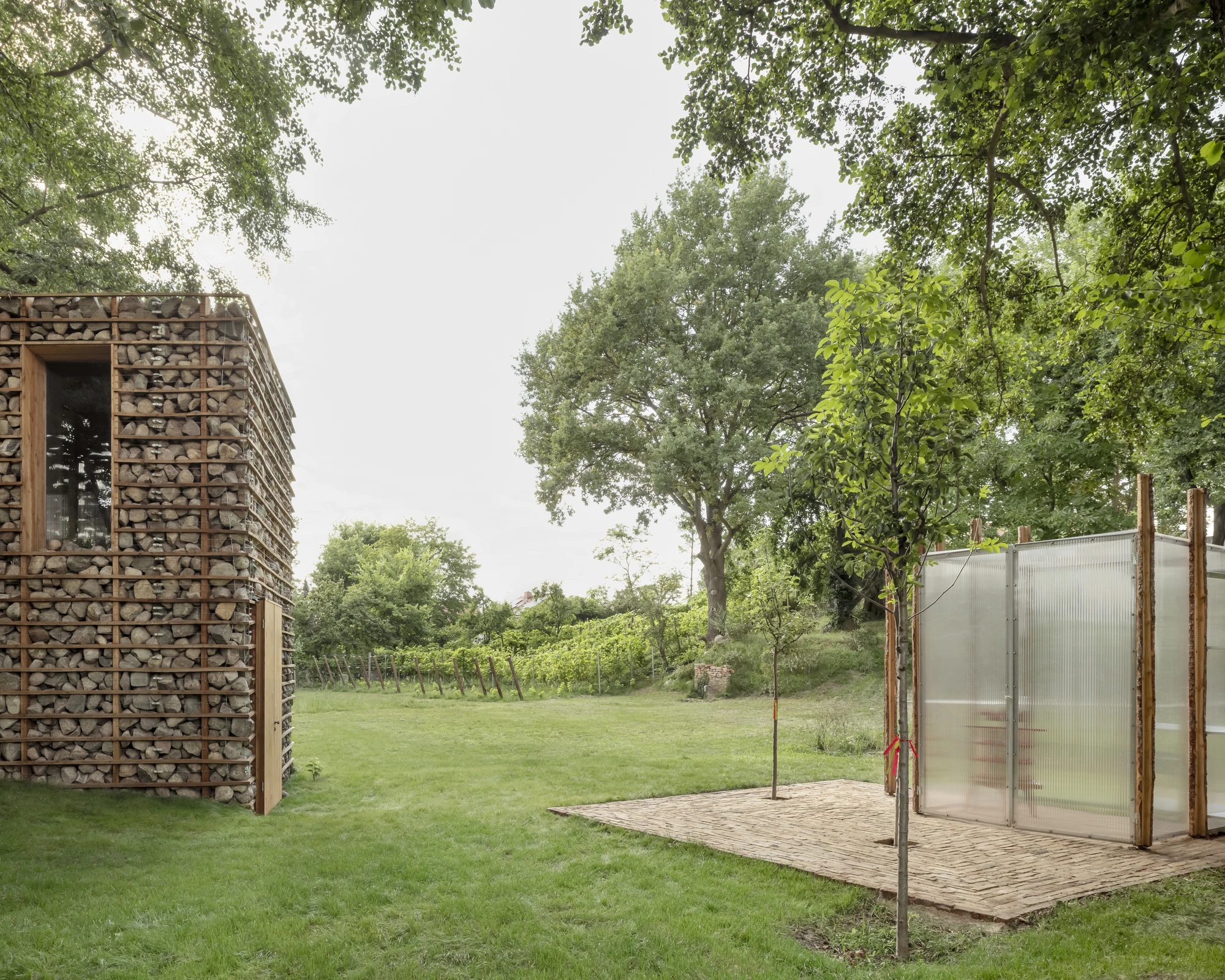 HAIN by undjurekbrüggen, photographed by Hannes Heitmüller — The stone volume at the left edge of the frame with the vineyard rows climbing the slope and the translucent pavilion beyond.