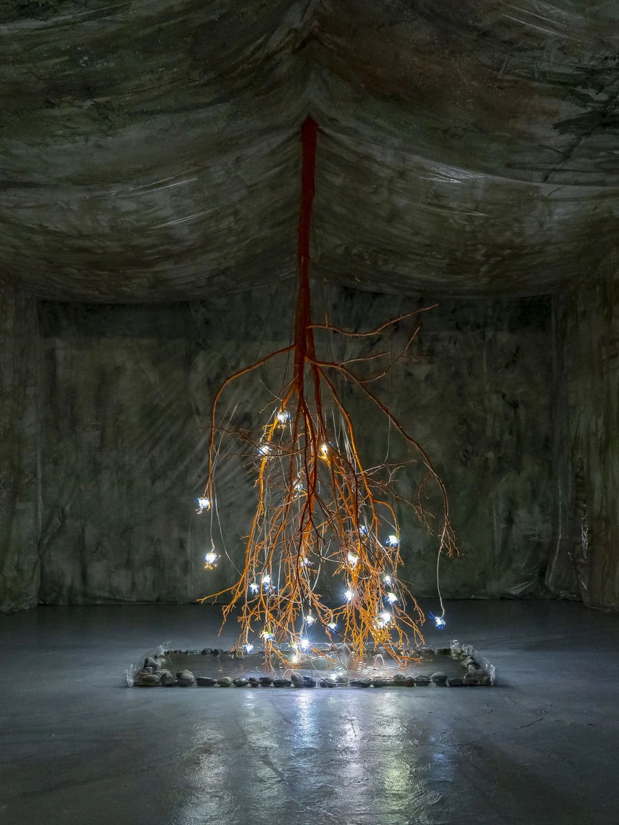 Paulina Mellado at MAC, Santiago by MAC Santiago — A branch-like sculpture hangs over a shallow pool of water at the center of the darkened room.