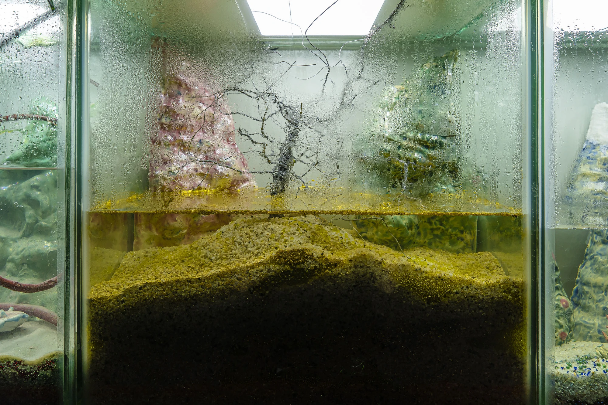 Paulina Mellado at MAC, Santiago by MAC Santiago — An aquarium holds water, sediment and tangled fibers, one submerged node within the immersive installation at MAC, Santiago.