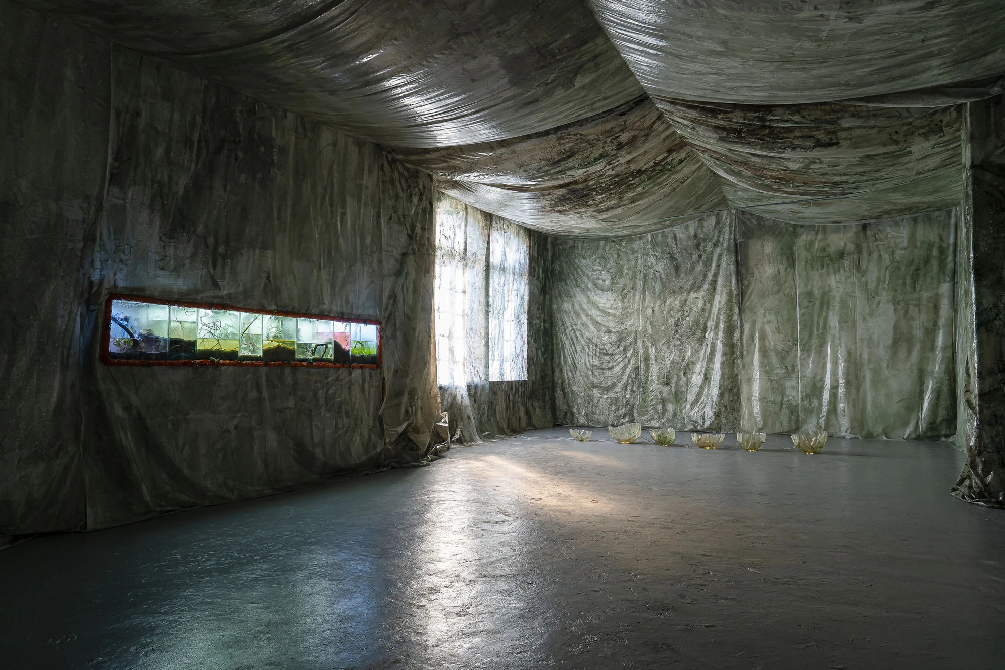 Paulina Mellado at MAC, Santiago by MAC Santiago — Installation view of the immersive environment, gathered branches and fibers meeting standing water.