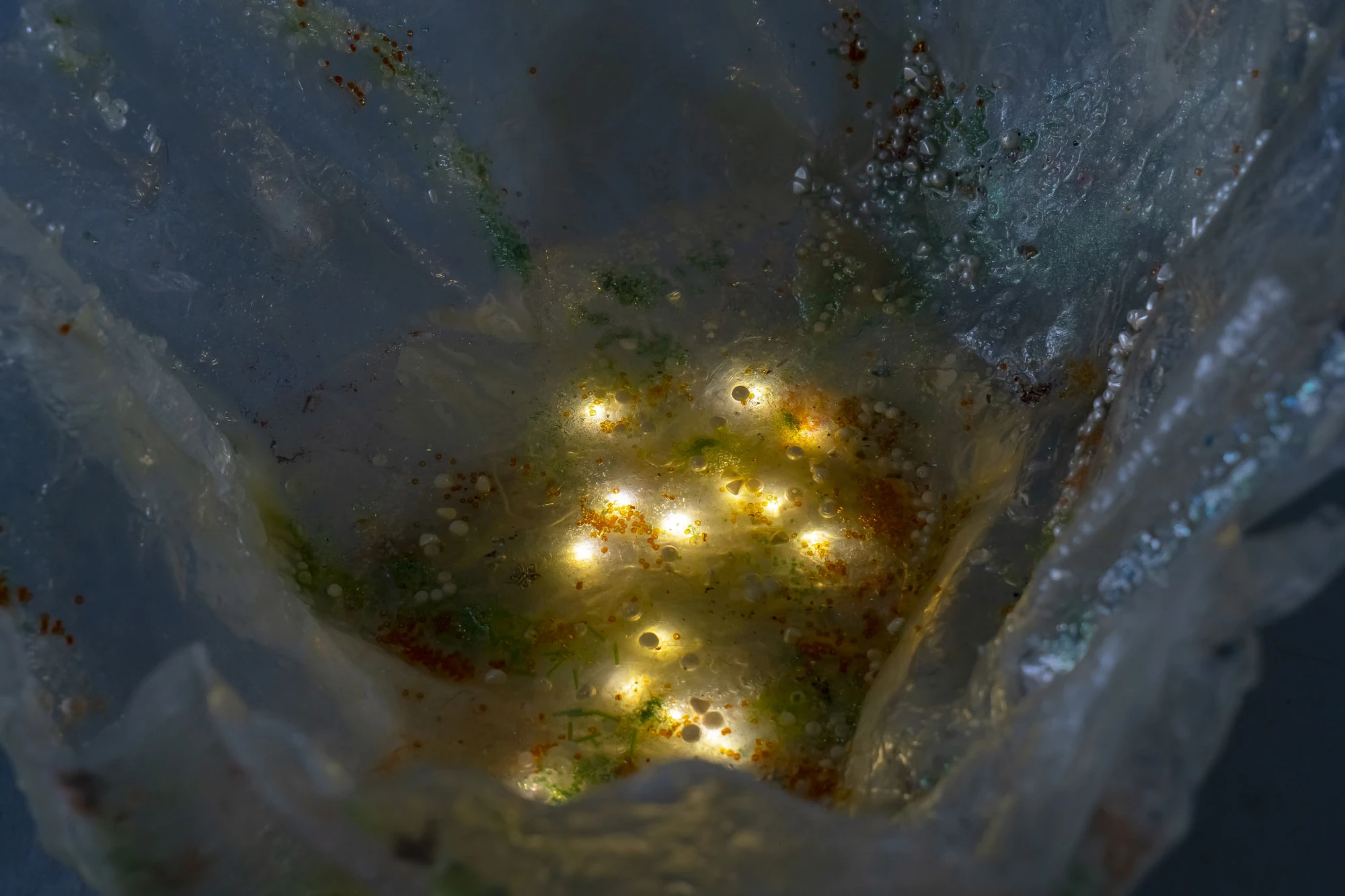 Paulina Mellado at MAC, Santiago by MAC Santiago — Branches and fibers suspended within the cave-like space.