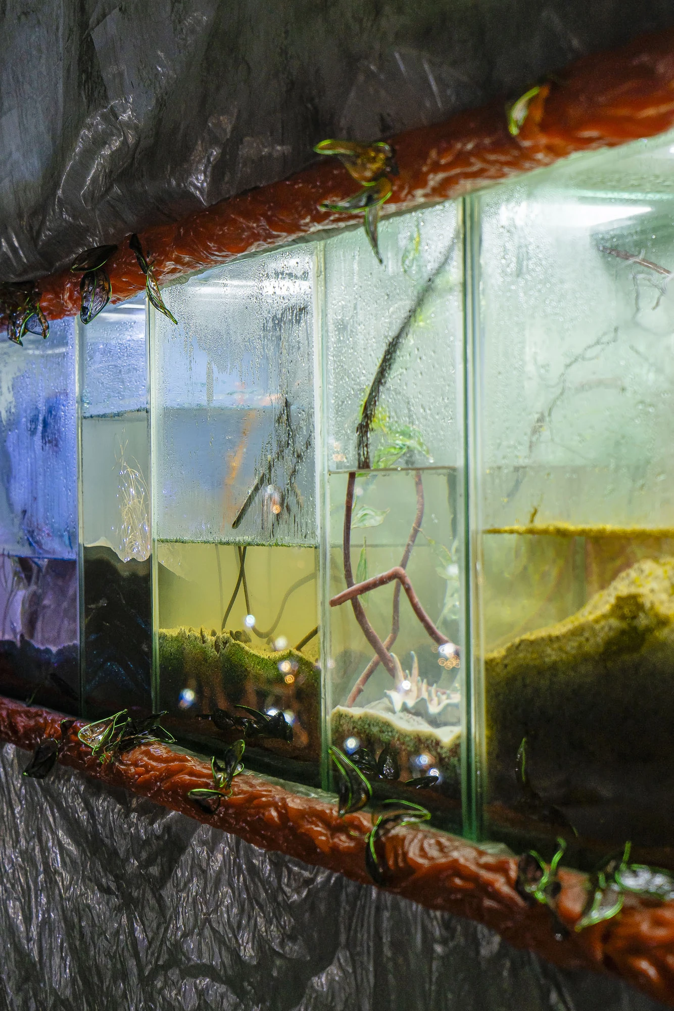 Paulina Mellado at MAC, Santiago by MAC Santiago — Detail of water and sediment held within an aquarium.