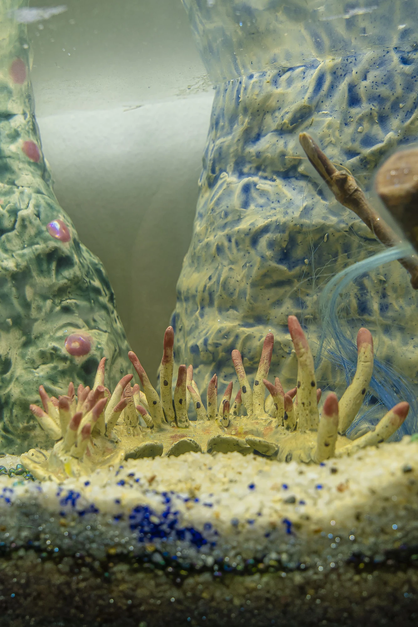 Paulina Mellado at MAC, Santiago by MAC Santiago — Installation view of the humid, aqueous environment imagined as a flooded future.