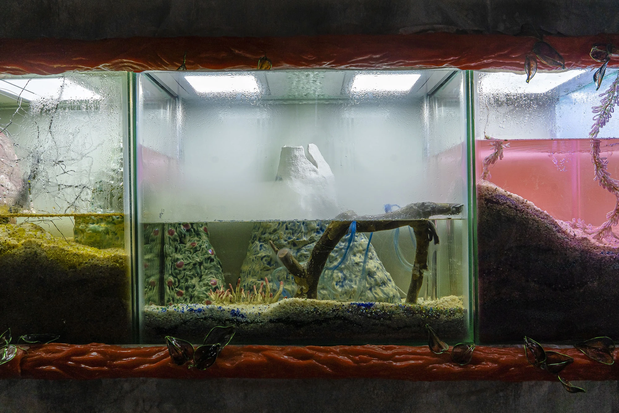 Paulina Mellado at MAC, Santiago by MAC Santiago — A branch structure standing in shallow water within the environment.