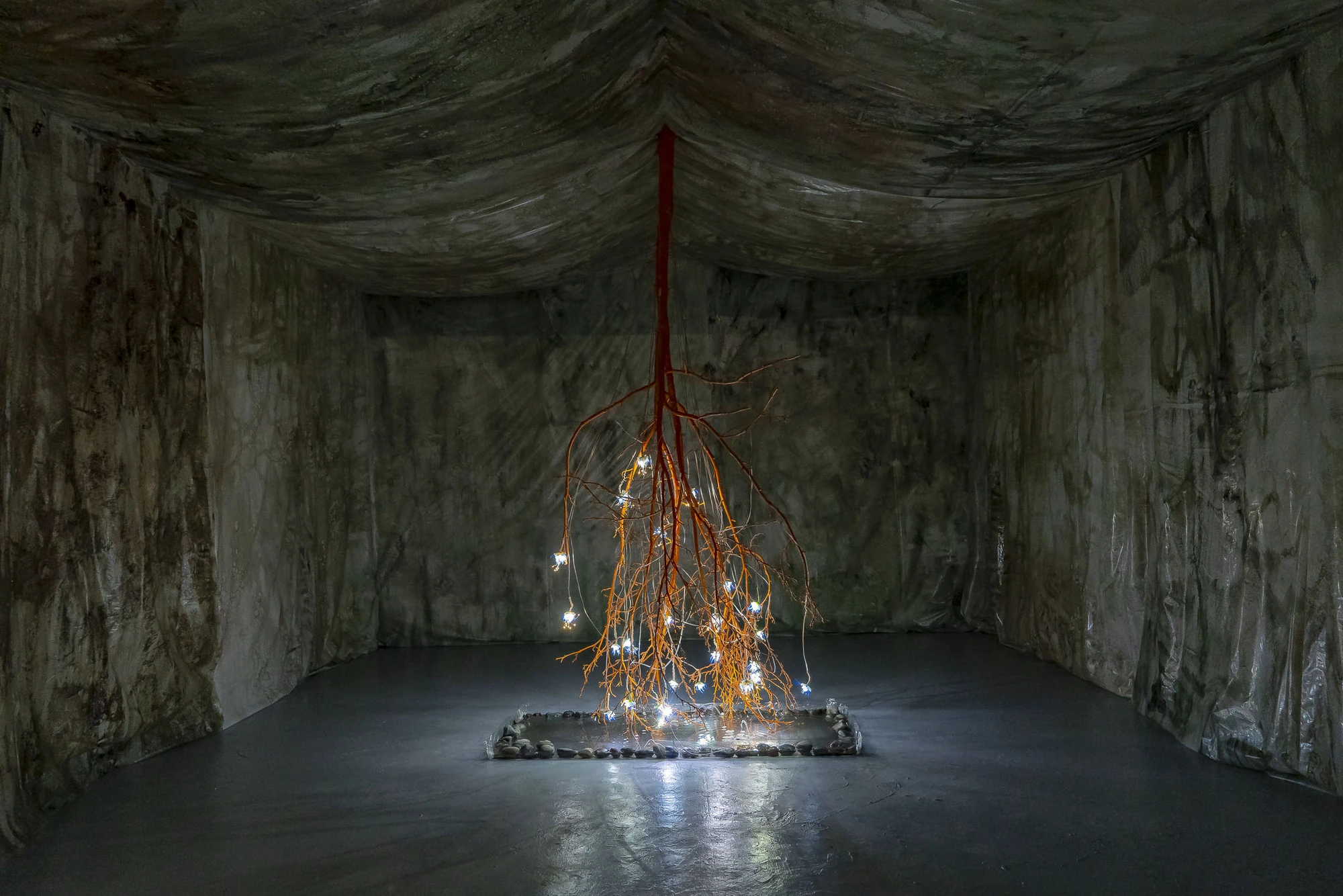 Paulina Mellado at MAC, Santiago by MAC Santiago — An aquarium holding water and organic fragments, one situation among many in the system.