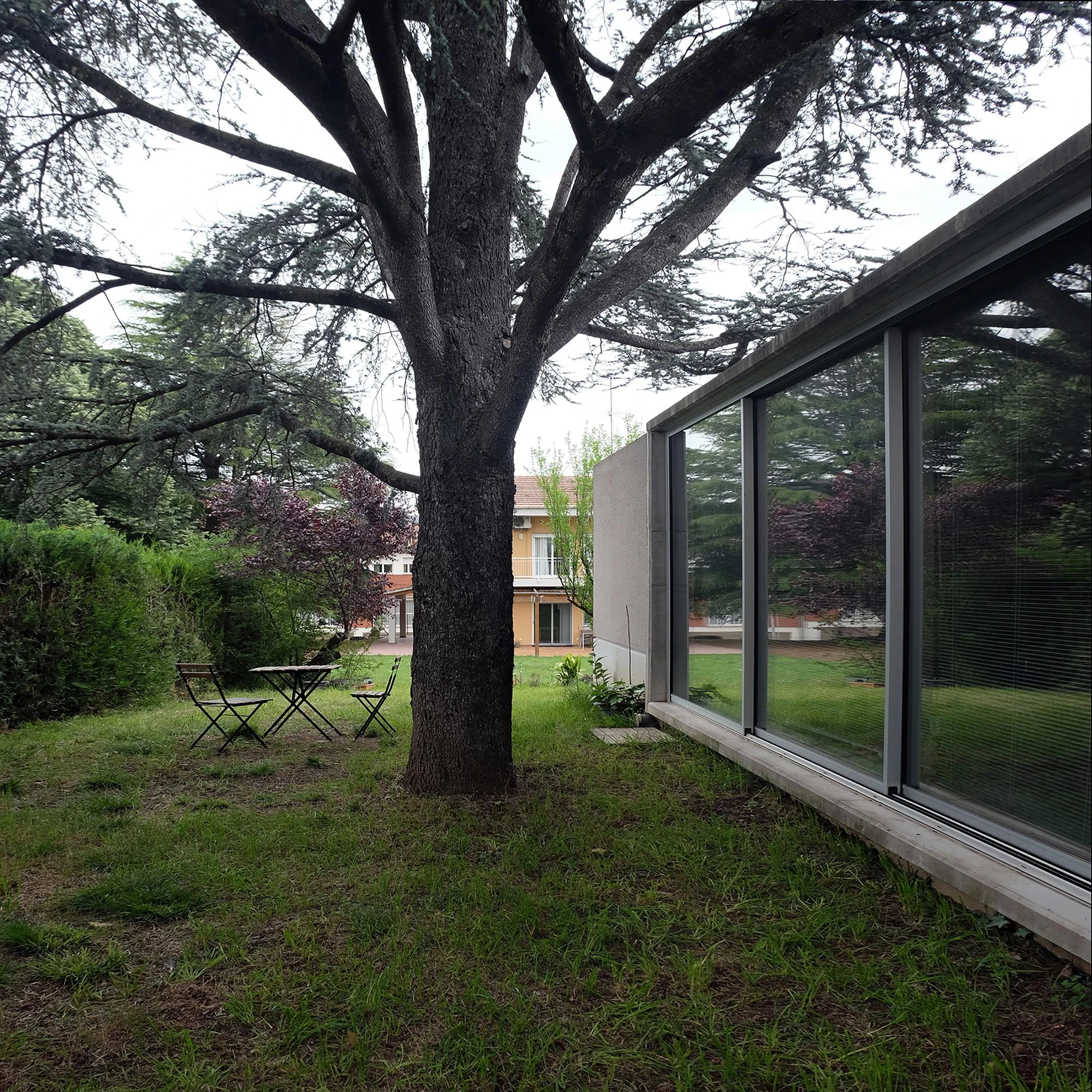 Prefab Pavilion Facing a Centuries-Old Cedar by Jordi Hidalgo Tané, photographed by Pep Sau, Jordi Hidalgo — Exterior view of the pavilion's glazed flank meeting the garden and the trunk of the centuries-old cedar.
