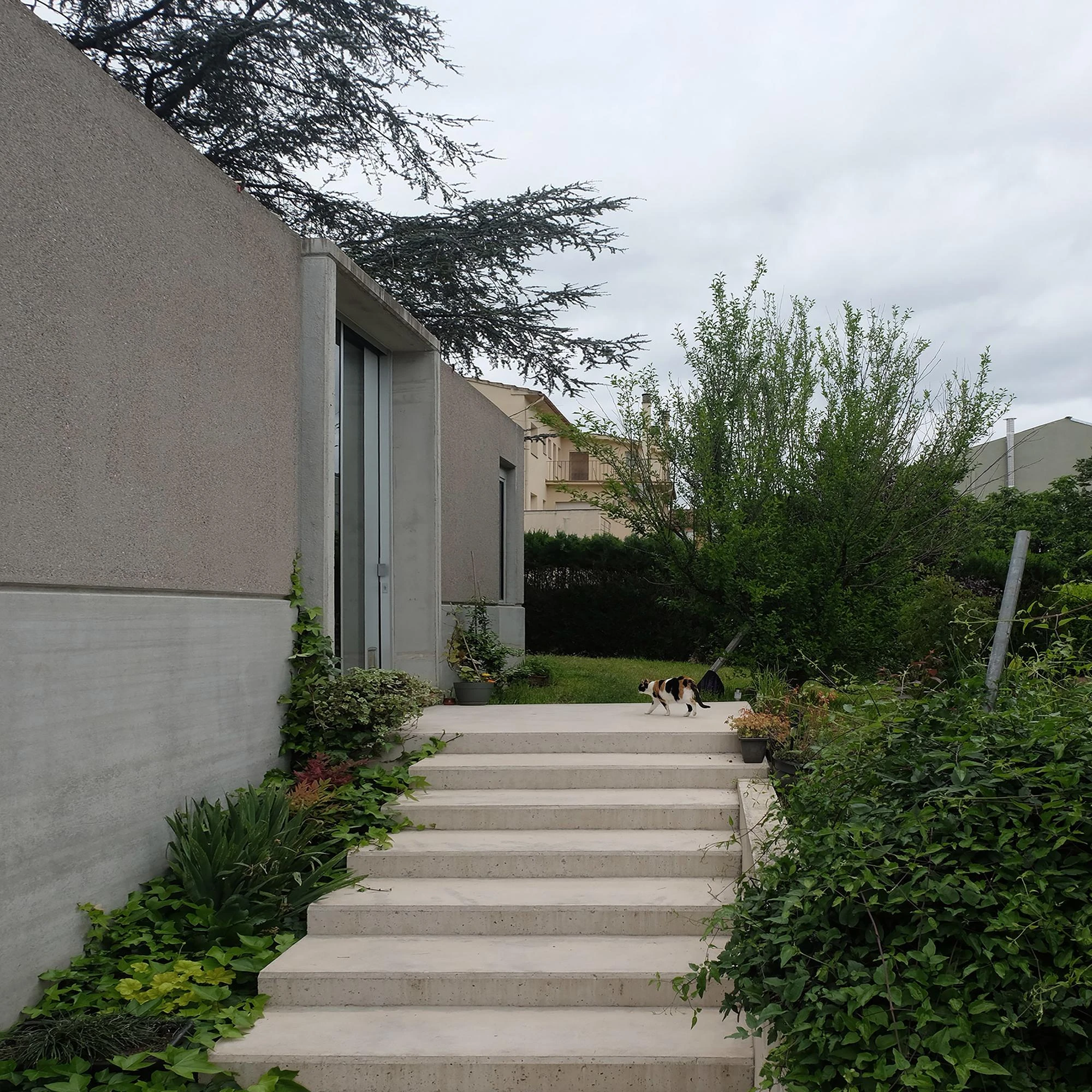 Prefab Pavilion Facing a Centuries-Old Cedar by Jordi Hidalgo Tané, photographed by Pep Sau, Jordi Hidalgo — Exterior view of the concrete steps climbing to the pavilion through the garden.