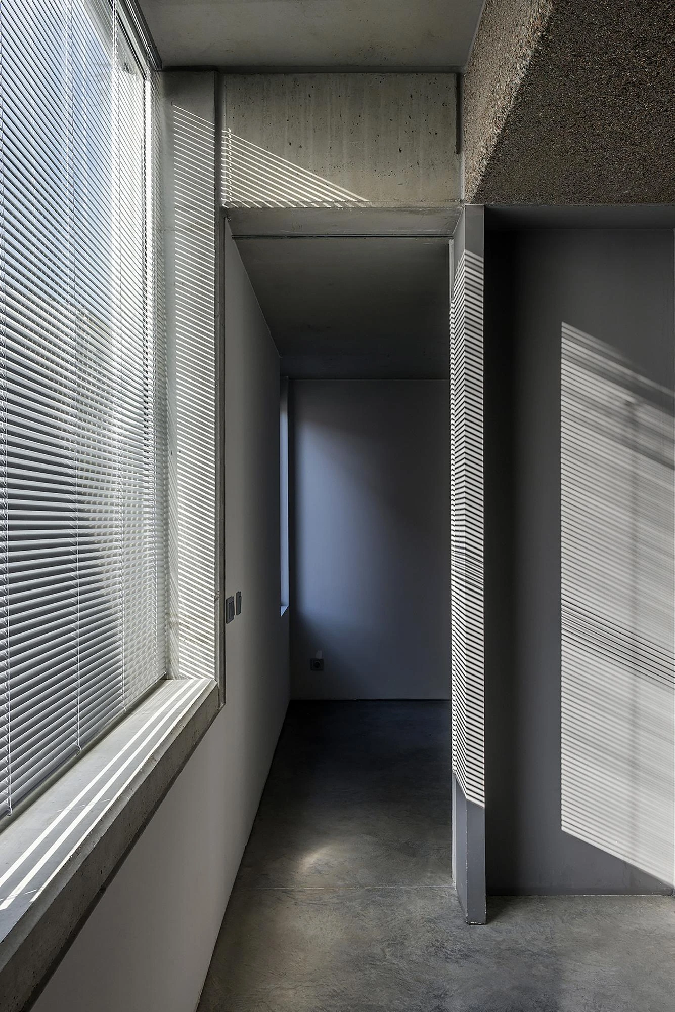 Prefab Pavilion Facing a Centuries-Old Cedar by Jordi Hidalgo Tané, photographed by Pep Sau, Jordi Hidalgo — Interior view of the passage between the concrete rooms of the pavilion.
