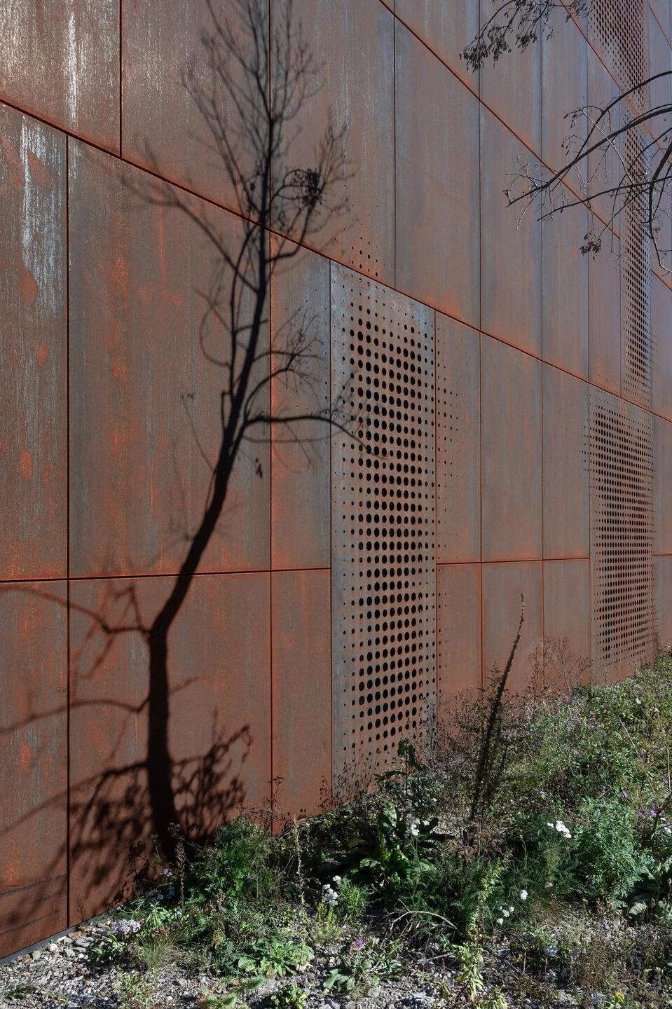 Urs Hauser Winery by WDMRA, photographed by Giacomo Albo — An oblique view of the steel wall printed with a bare tree's shadow, perforated panels above a strip of wild meadow.