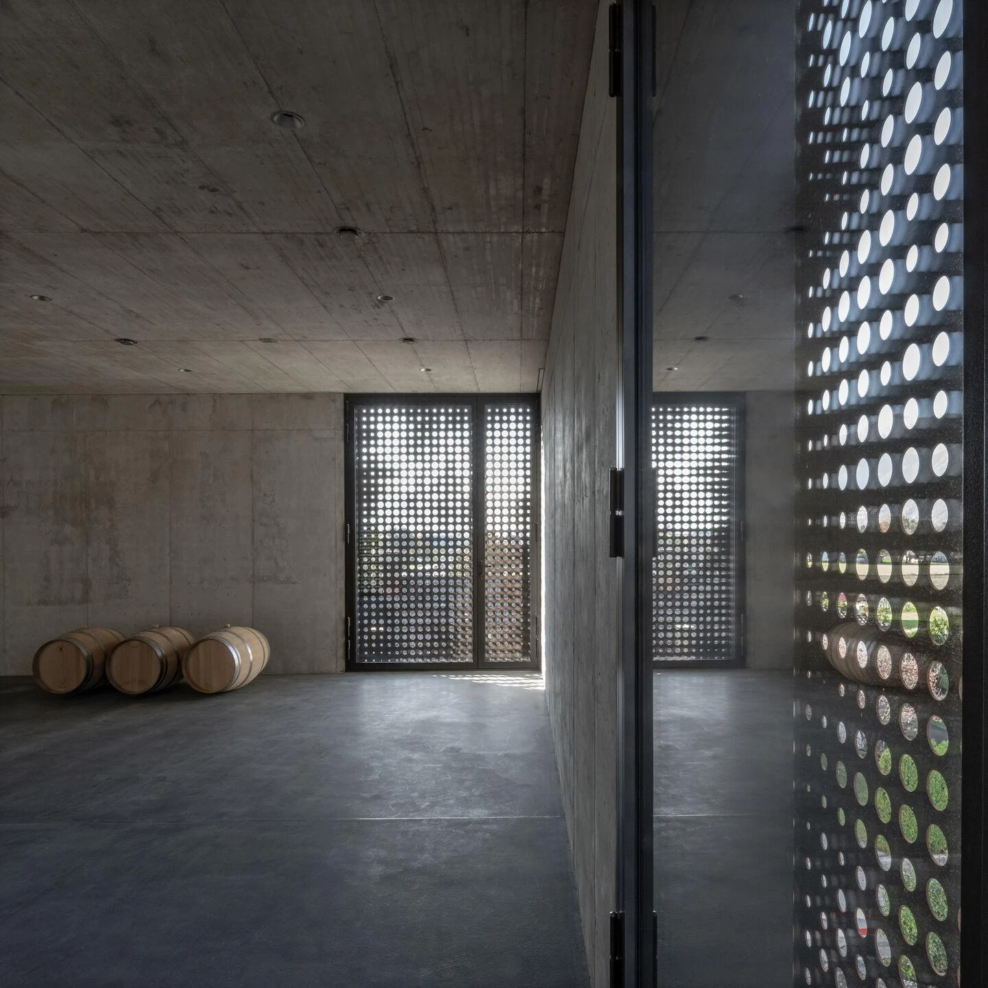 Urs Hauser Winery by WDMRA, photographed by Giacomo Albo — A concrete room with oak barrels laid low, a glazed perforated wall scattering points of daylight inward.