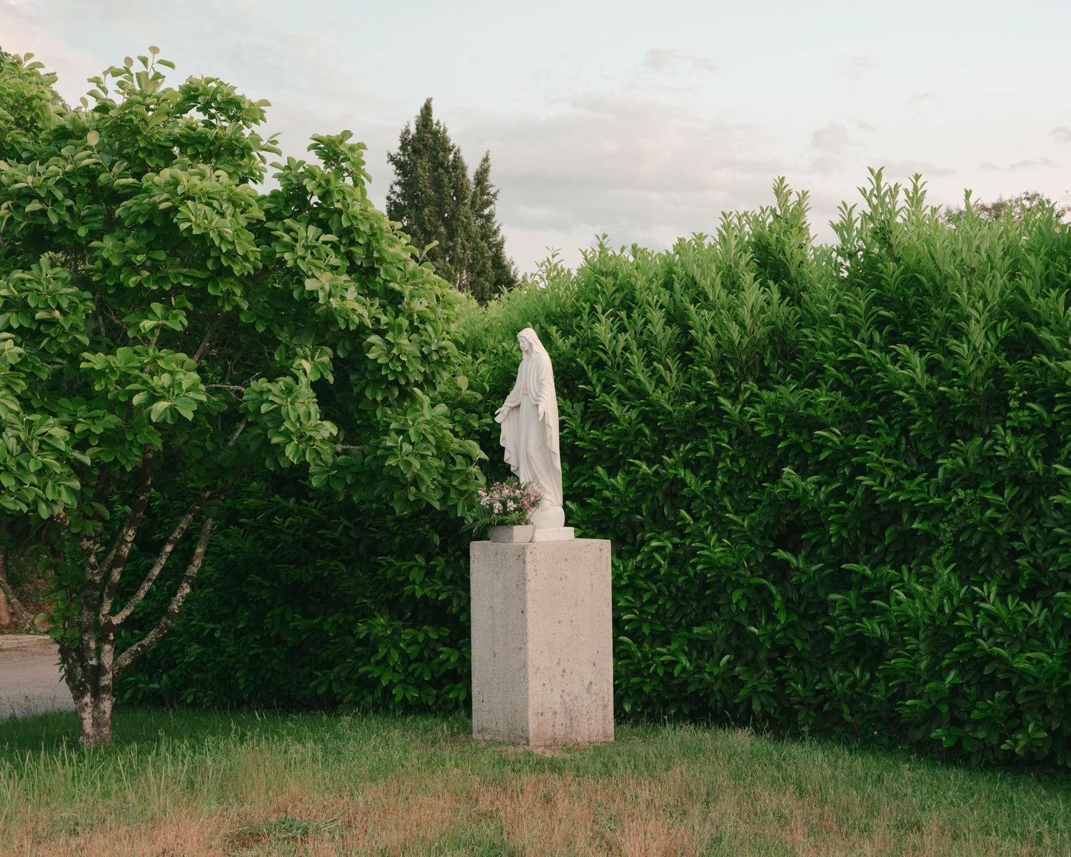 Casa de Souvinha by Parto Atelier, photographed by Francisco Ascensão, Parto Atelier — A white Madonna statue stands on a granite plinth against a dense laurel hedge, flowers set at her feet in the evening light.