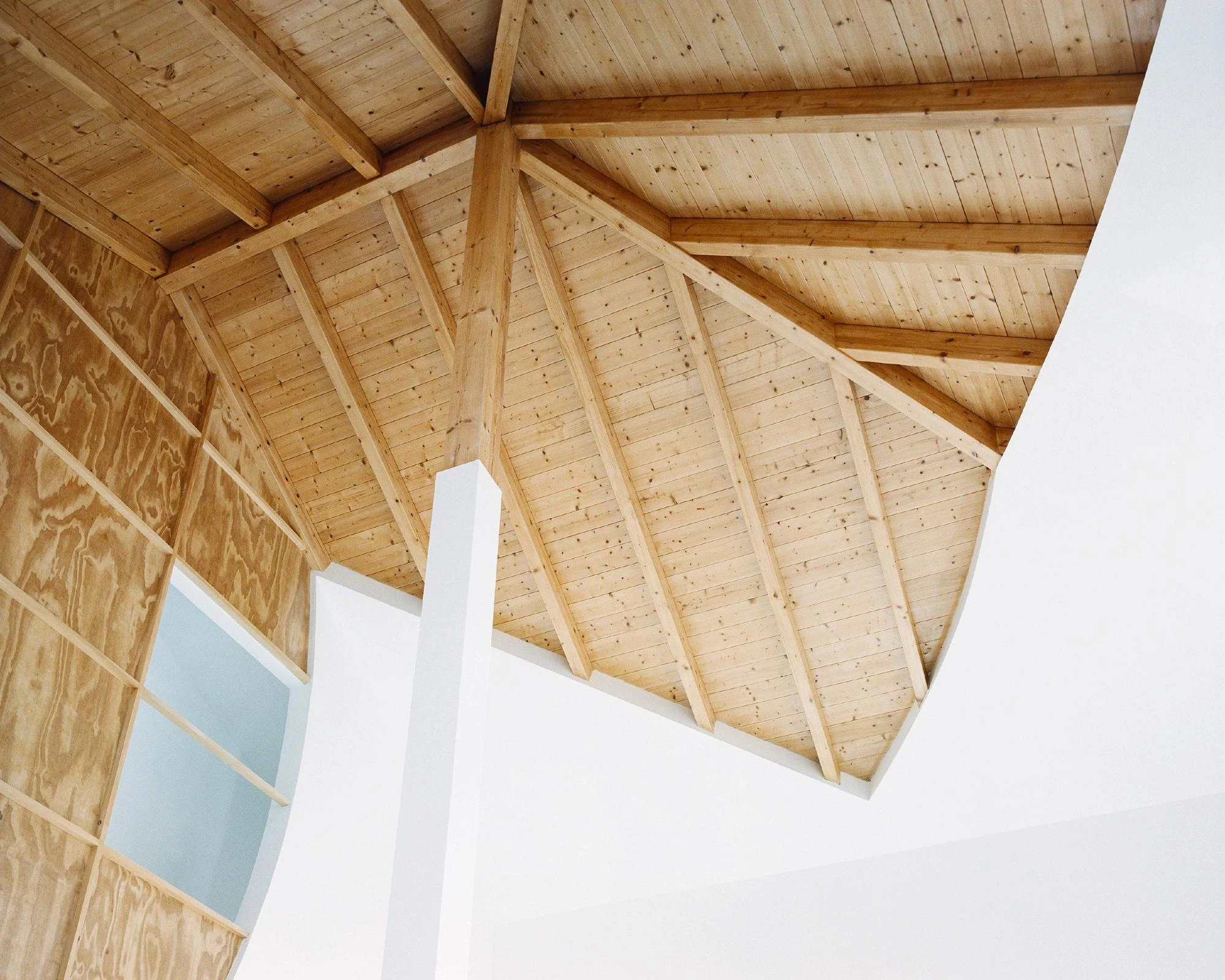 Cutouts by Corpo Atelier, photographed by Francisco Ascensão — A steep upward view of fanning pine rafters, a battened plywood wall curving off to the left past a pale blue glazed opening.