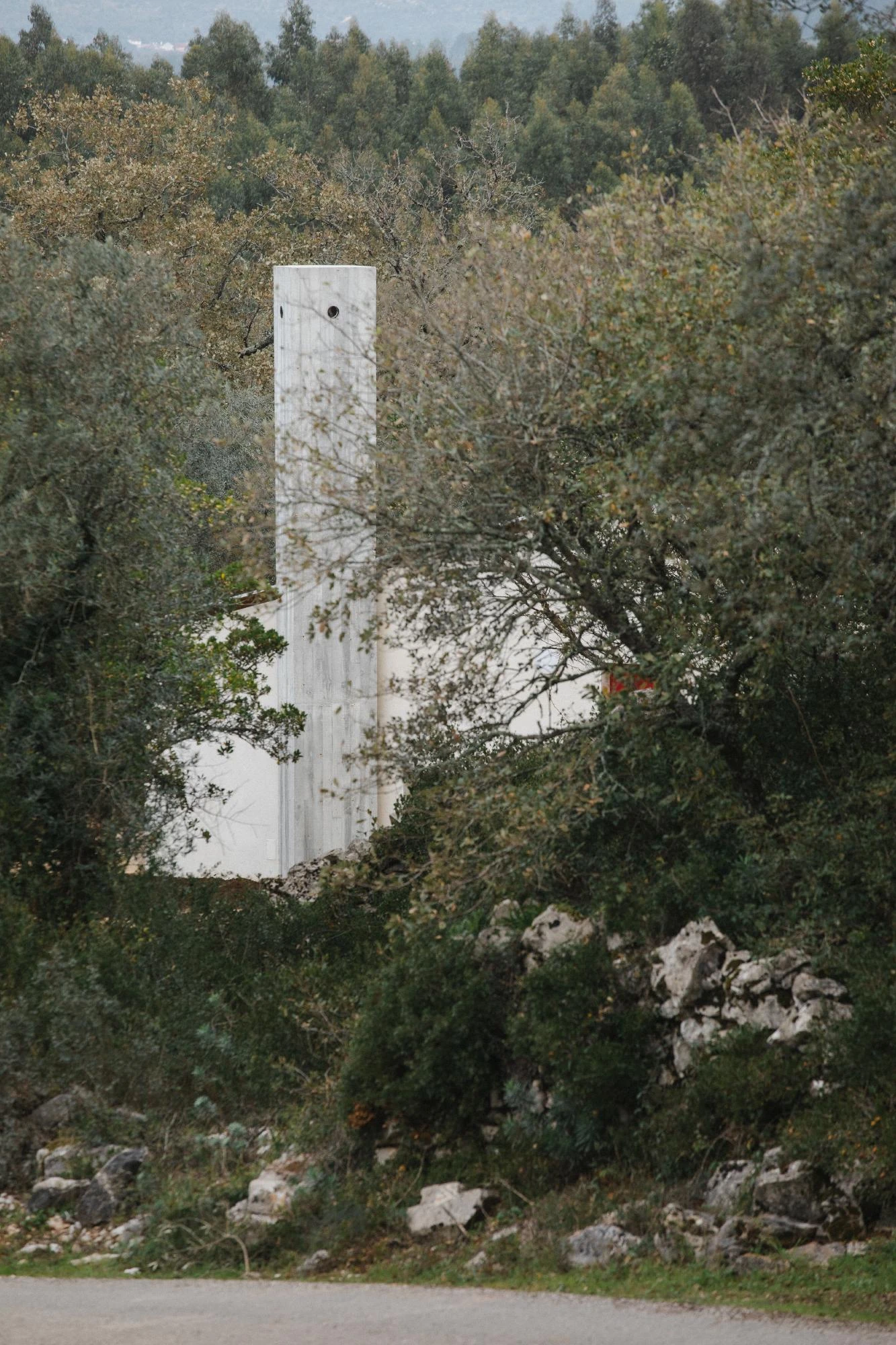 House in Cerrado by Atelier Espaço P2, photographed by José Campos — A telephoto frame catches the pale board-formed concrete chimney rising through a screen of oak and olive leaves.