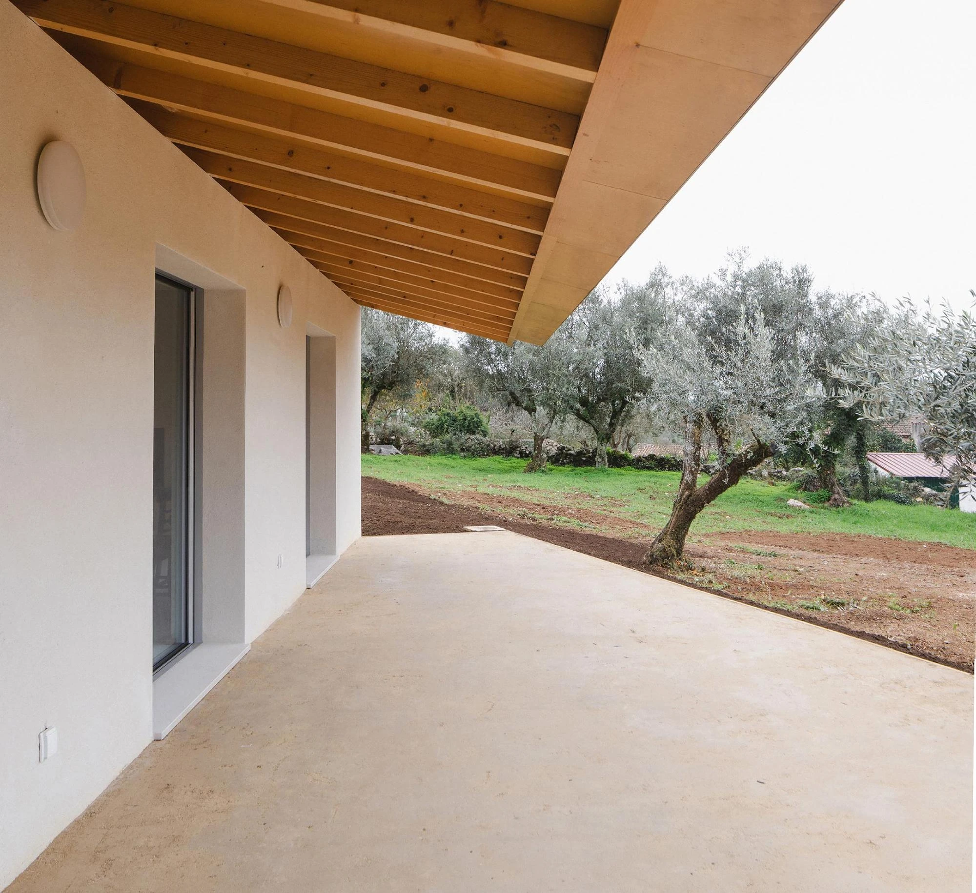 House in Cerrado by Atelier Espaço P2, photographed by José Campos — Under the porch, exposed pine rafters overhang a smooth concrete terrace that opens onto the olive grove.