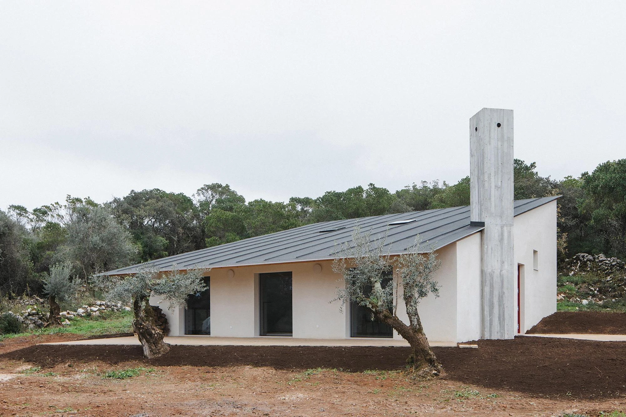 House in Cerrado by Atelier Espaço P2, photographed by José Campos — The front elevation shows a single dark slate roof tilting up to the concrete chimney, glass sliders set under a deep porch among olive trees.