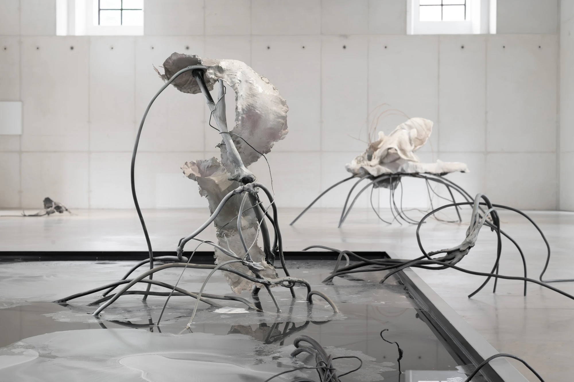 Accomplice by Yein Lee, photographed by Blaž Gutman / MGML — A low sculpture of pale cast shells balanced on splayed metal legs at the edge of the reflective pool, cabling trailing across the floor.