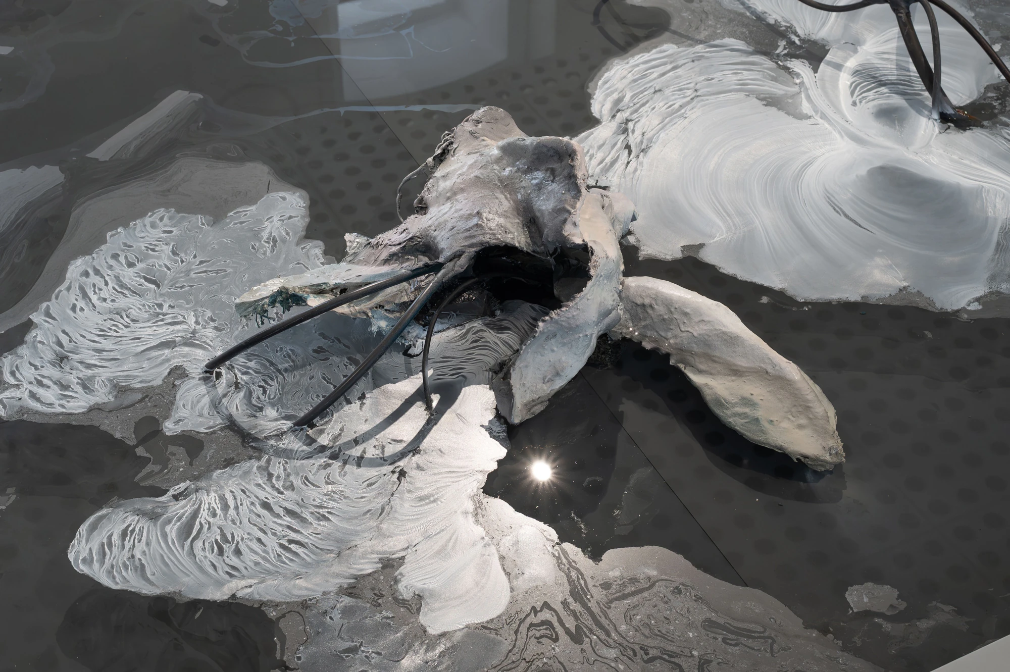 Accomplice by Yein Lee, photographed by Blaž Gutman / MGML — Overhead view of the pool, a pale sculptural form half-submerged among swirling patterns on the water's surface.