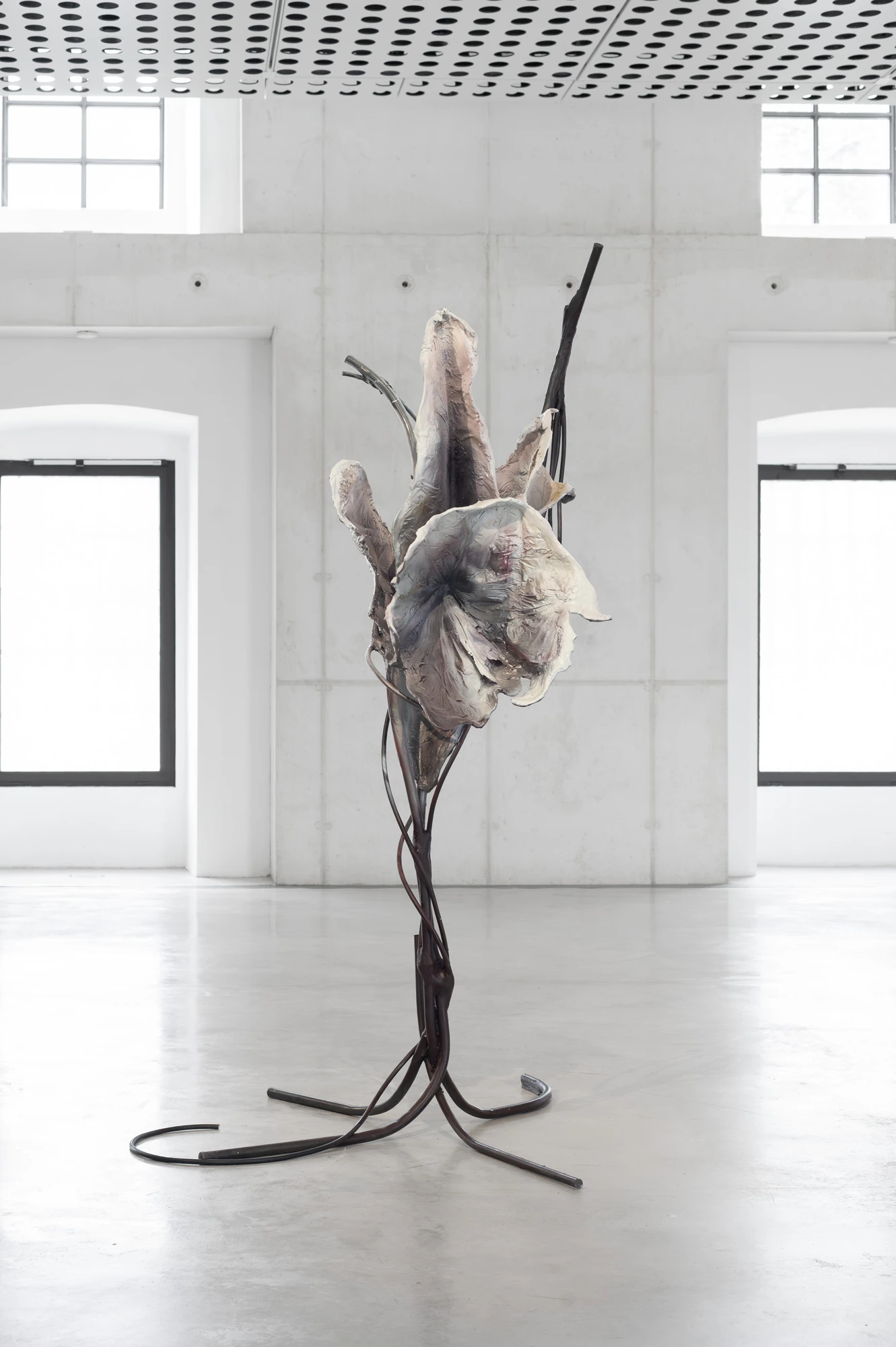 Accomplice by Yein Lee, photographed by Blaž Gutman / MGML — A standing sculpture of pale cast petals rises on dark curved rod legs between two windows of the concrete gallery.