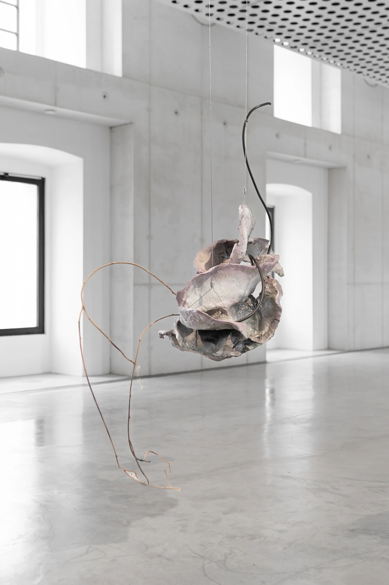 Accomplice by Yein Lee, photographed by Blaž Gutman / MGML — A suspended sculpture of pinkish cast shells hangs on thin wires above the polished floor of the empty gallery.