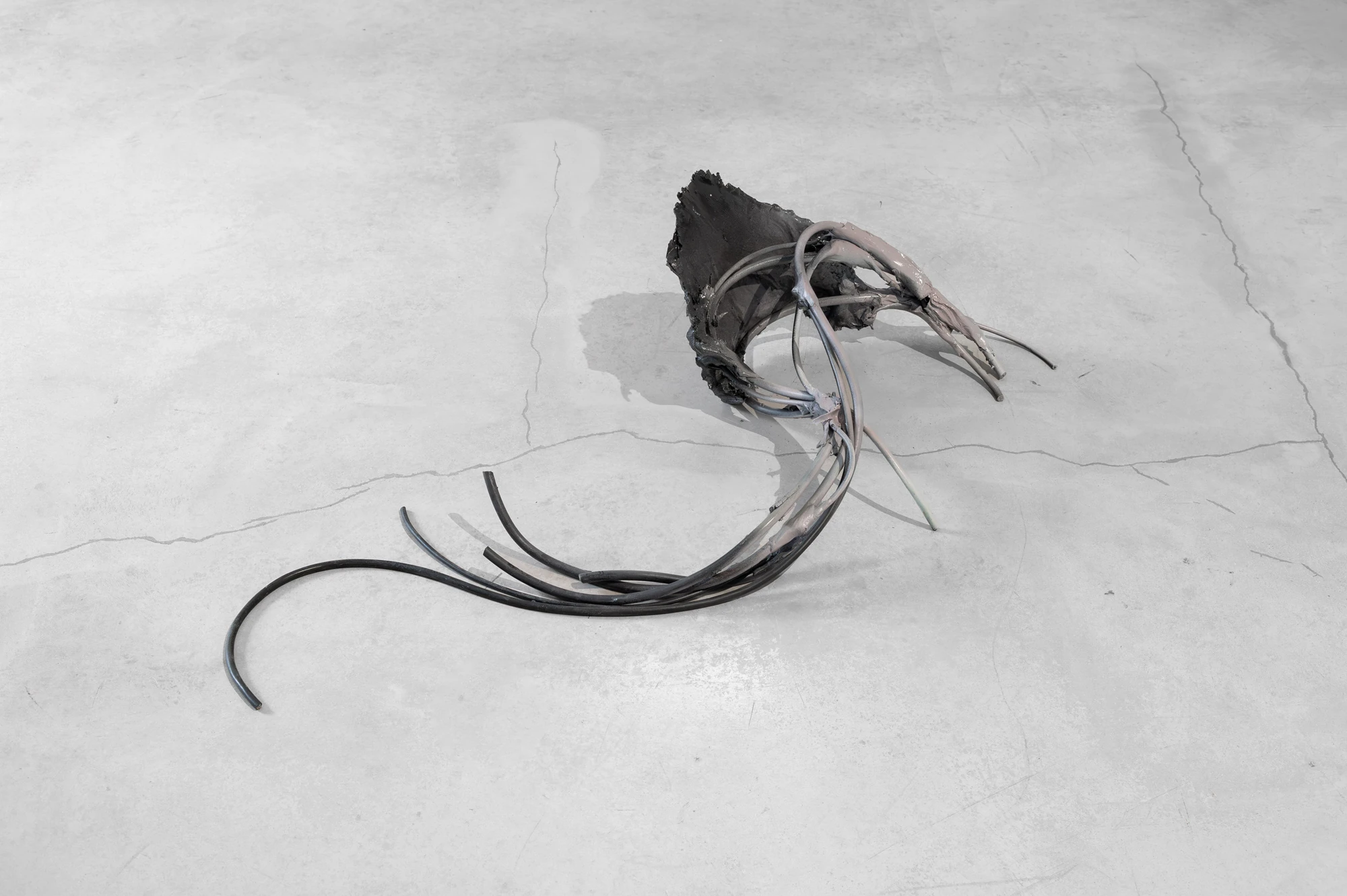 Accomplice by Yein Lee, photographed by Blaž Gutman / MGML — A small floor-based sculpture, a dark cast shell with pale tendrils splayed across the bare concrete floor.