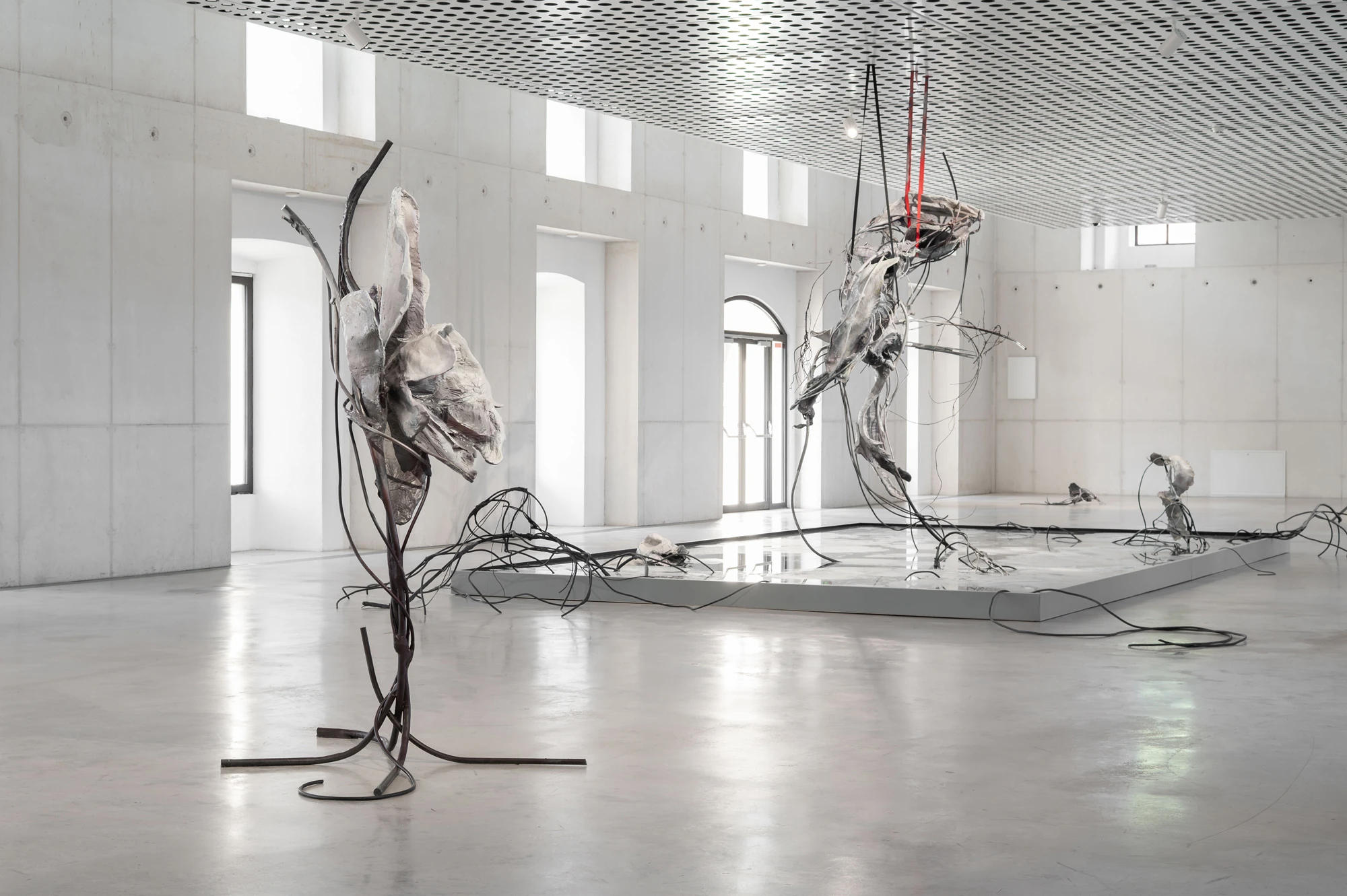 Accomplice by Yein Lee, photographed by Blaž Gutman / MGML — Wide installation view with a standing sculpture at left, the suspended central work and the ground-based pool.