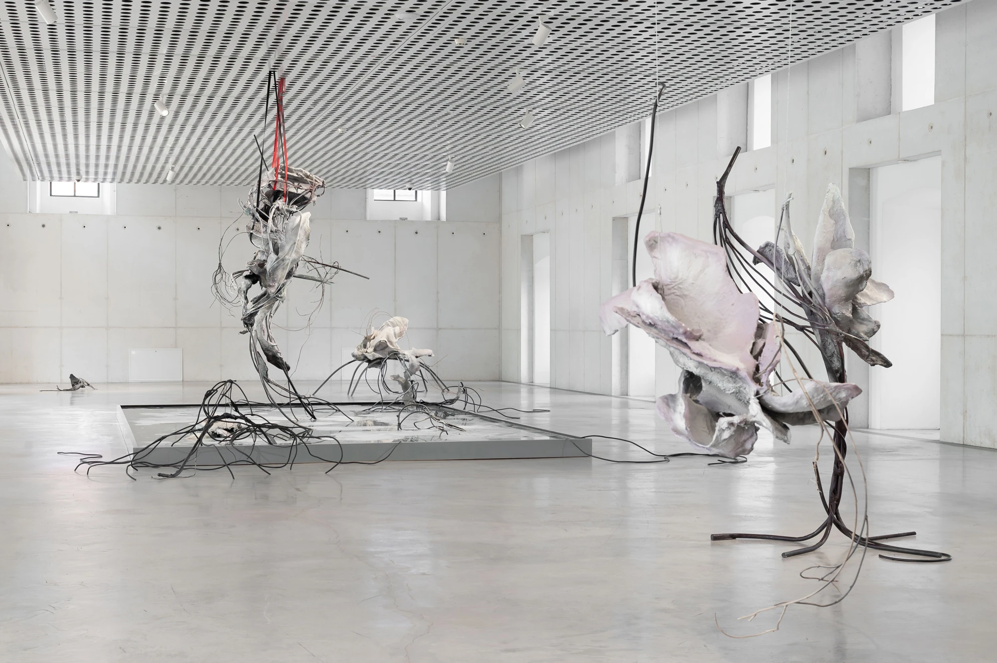 Accomplice by Yein Lee, photographed by Blaž Gutman / MGML — Wide view of Accomplice, a suspended cluster of sculptures over the pool with a pale pink bloom-like work at right.