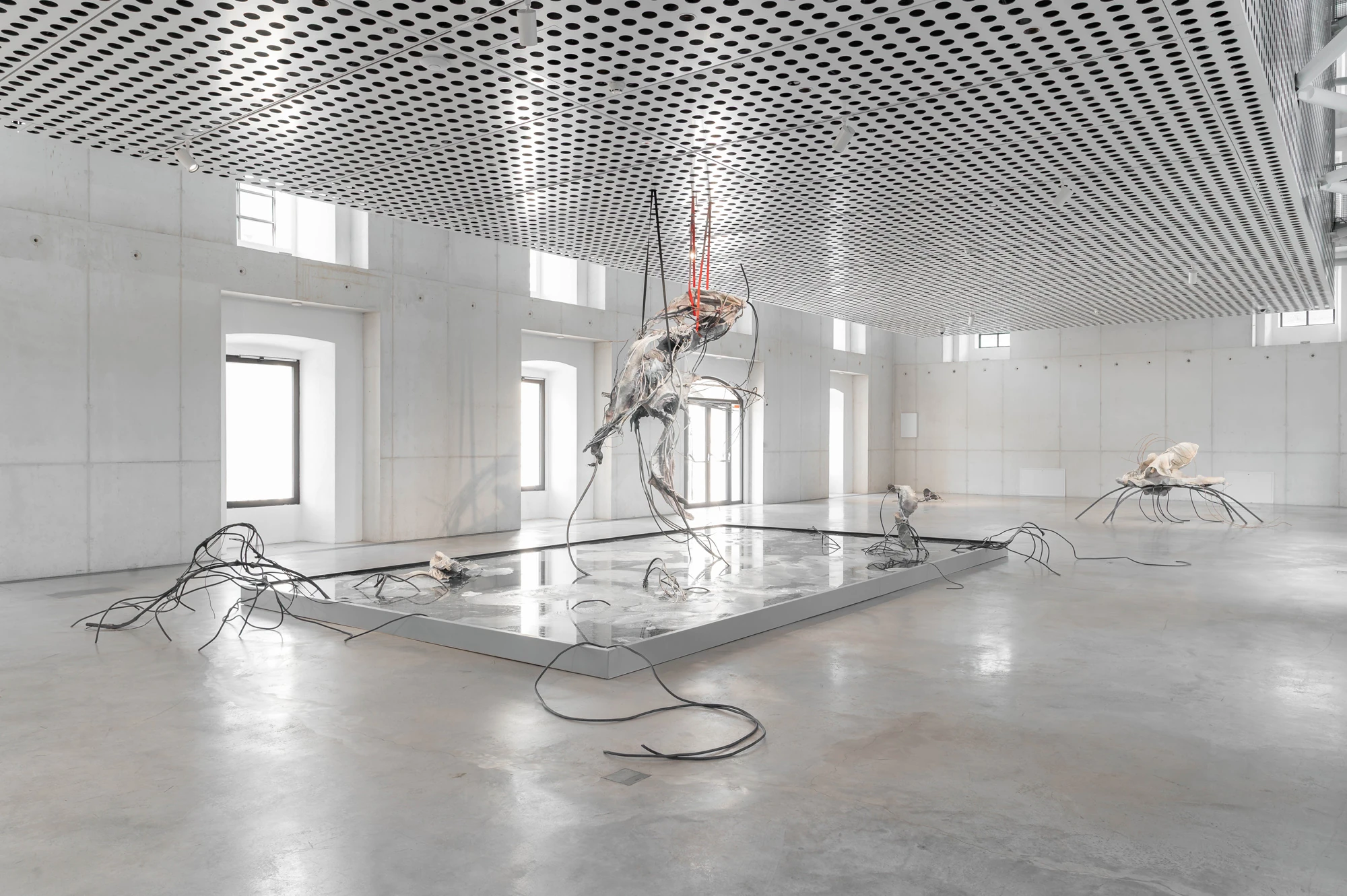 Accomplice by Yein Lee, photographed by Blaž Gutman / MGML — Installation view of five sculptures arranged around the reflective pool, the central work suspended above it beside an open doorway.