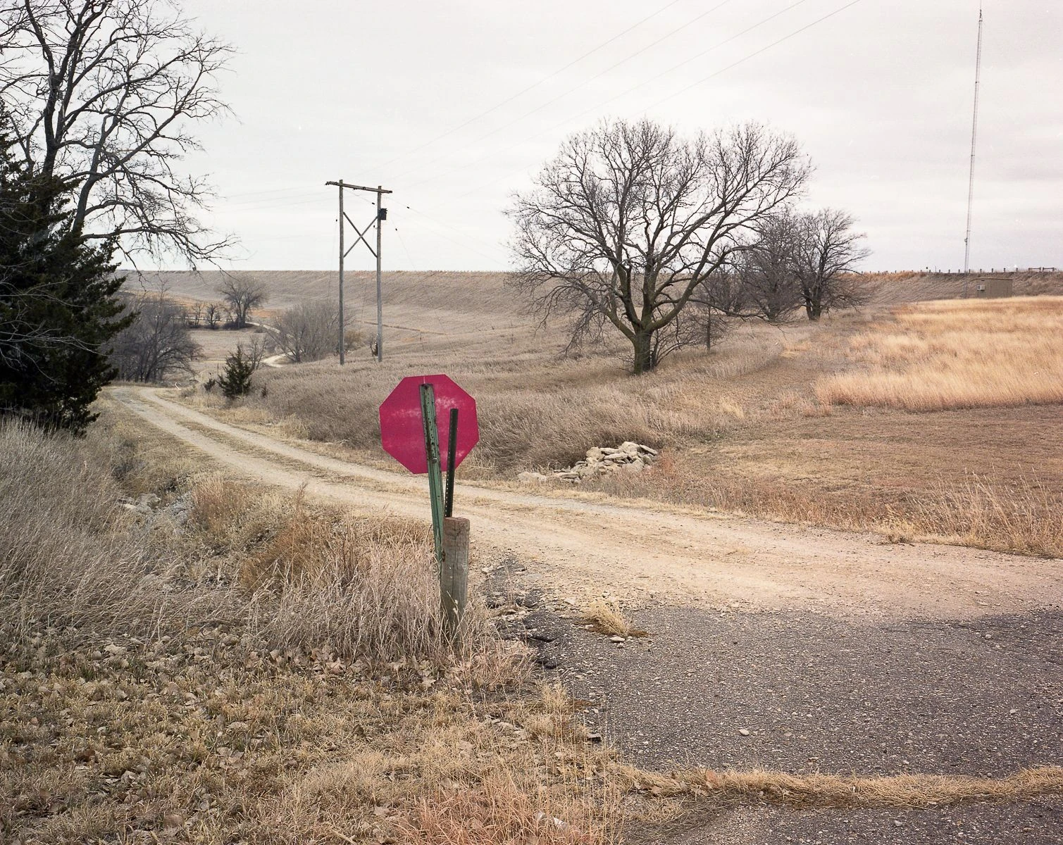 See the Elephant by Shawne Brown, photographed by Shawne Brown — A plate from See the Elephant, Shawne Brown's series between northeast Tennessee and the Kansas heartland.