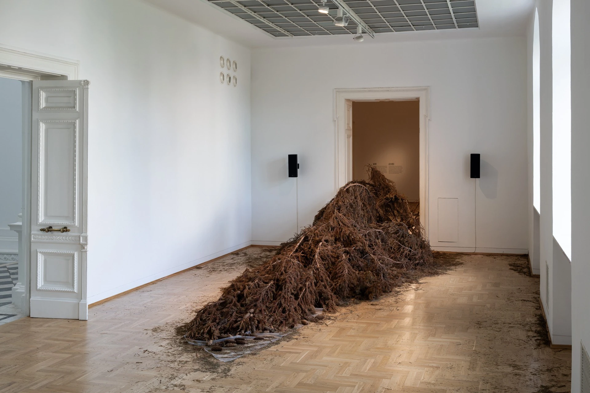 Żywica* Solar Plexus by Jura Shust, photographed by Maciej Landsberg — Installation view, Żywica* Solar Plexus, Jura Shust, Zachęta, Warsaw, 2026.