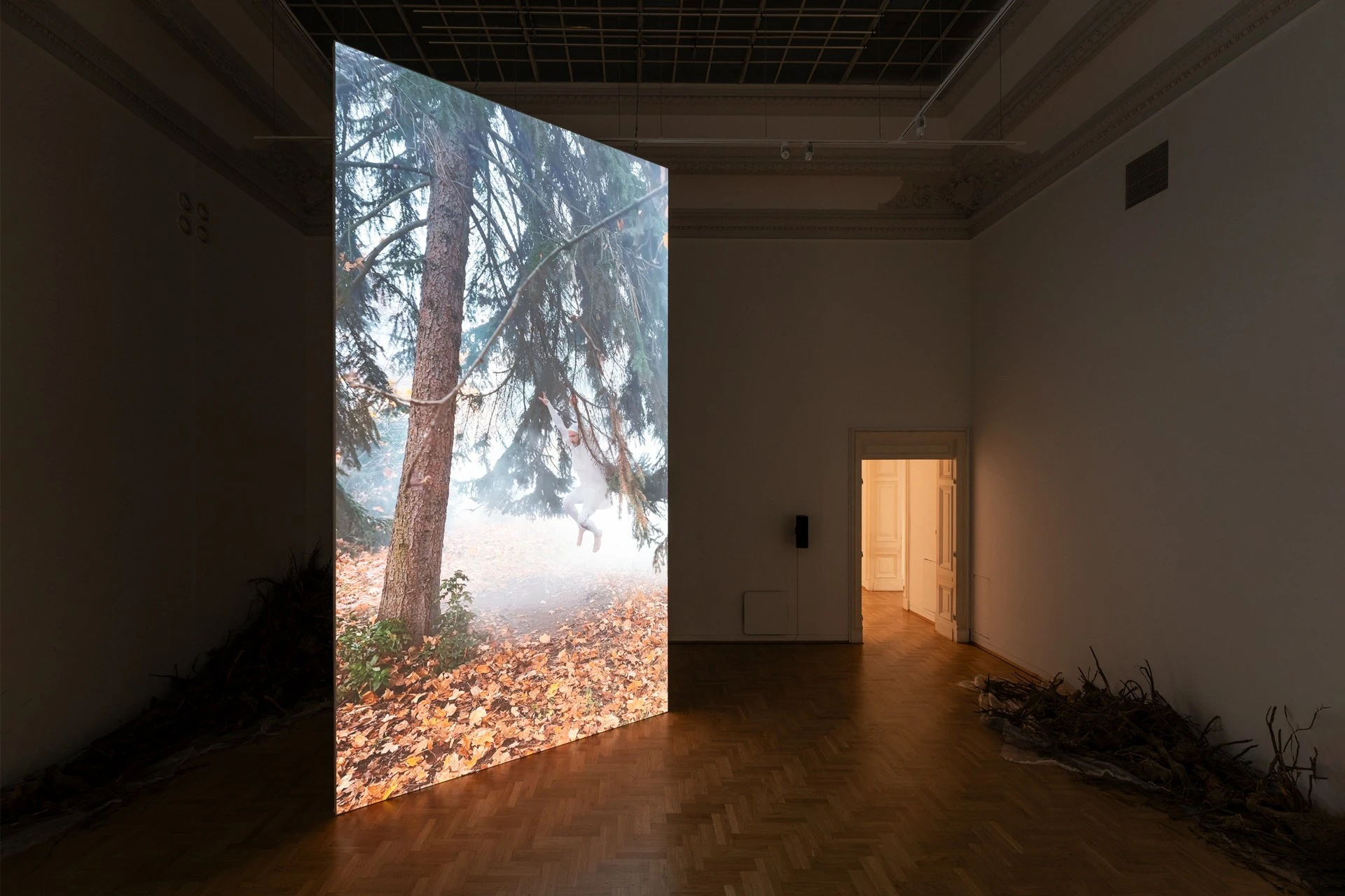 Żywica* Solar Plexus by Jura Shust, photographed by Maciej Landsberg — Żywica* Solar Plexus seen along its length, resin-covered spruce roots raised on a metal grating platform.