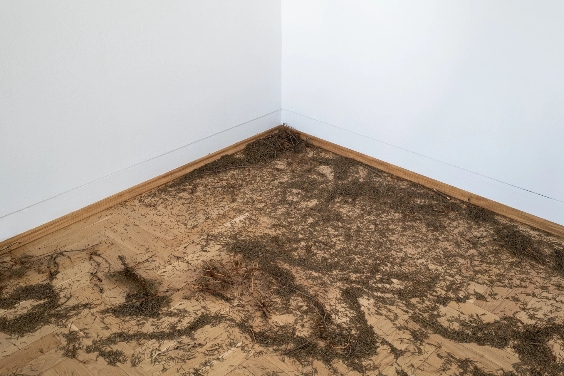 Żywica* Solar Plexus by Jura Shust, photographed by Maciej Landsberg — Installation view, Żywica* Solar Plexus, Jura Shust, Zachęta, Warsaw, 2026.