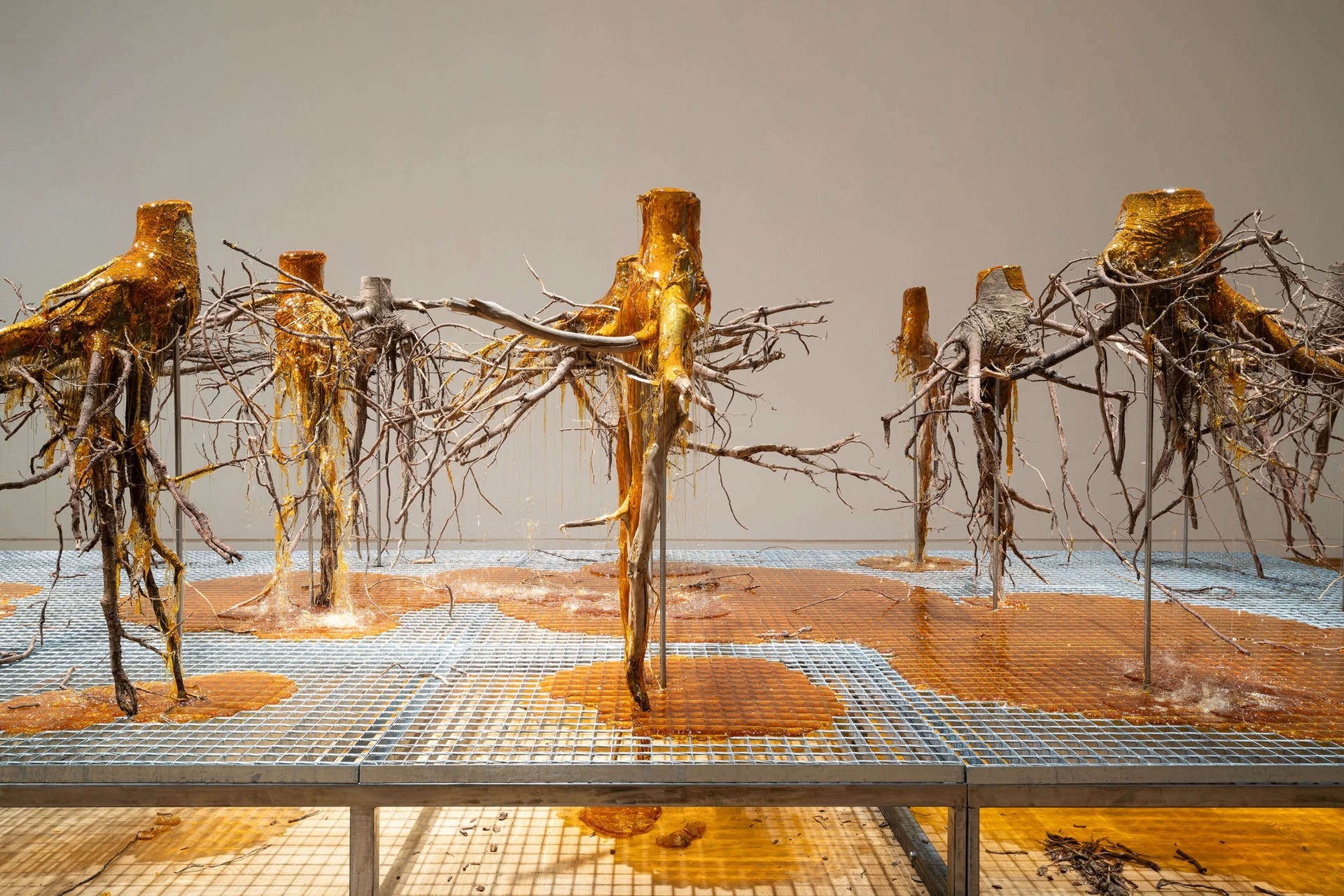 Żywica* Solar Plexus by Jura Shust, photographed by Maciej Landsberg — Żywica* Solar Plexus, several dozen young spruce roots coated in resin on the metal platform.