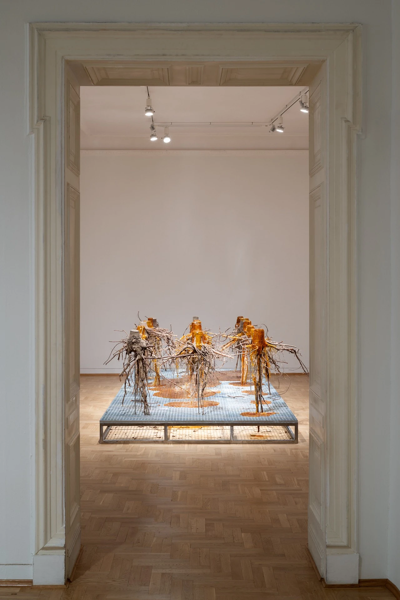 Żywica* Solar Plexus by Jura Shust, photographed by Maciej Landsberg — Żywica* Solar Plexus framed through a doorway, spruce roots and resin on their metal platform.
