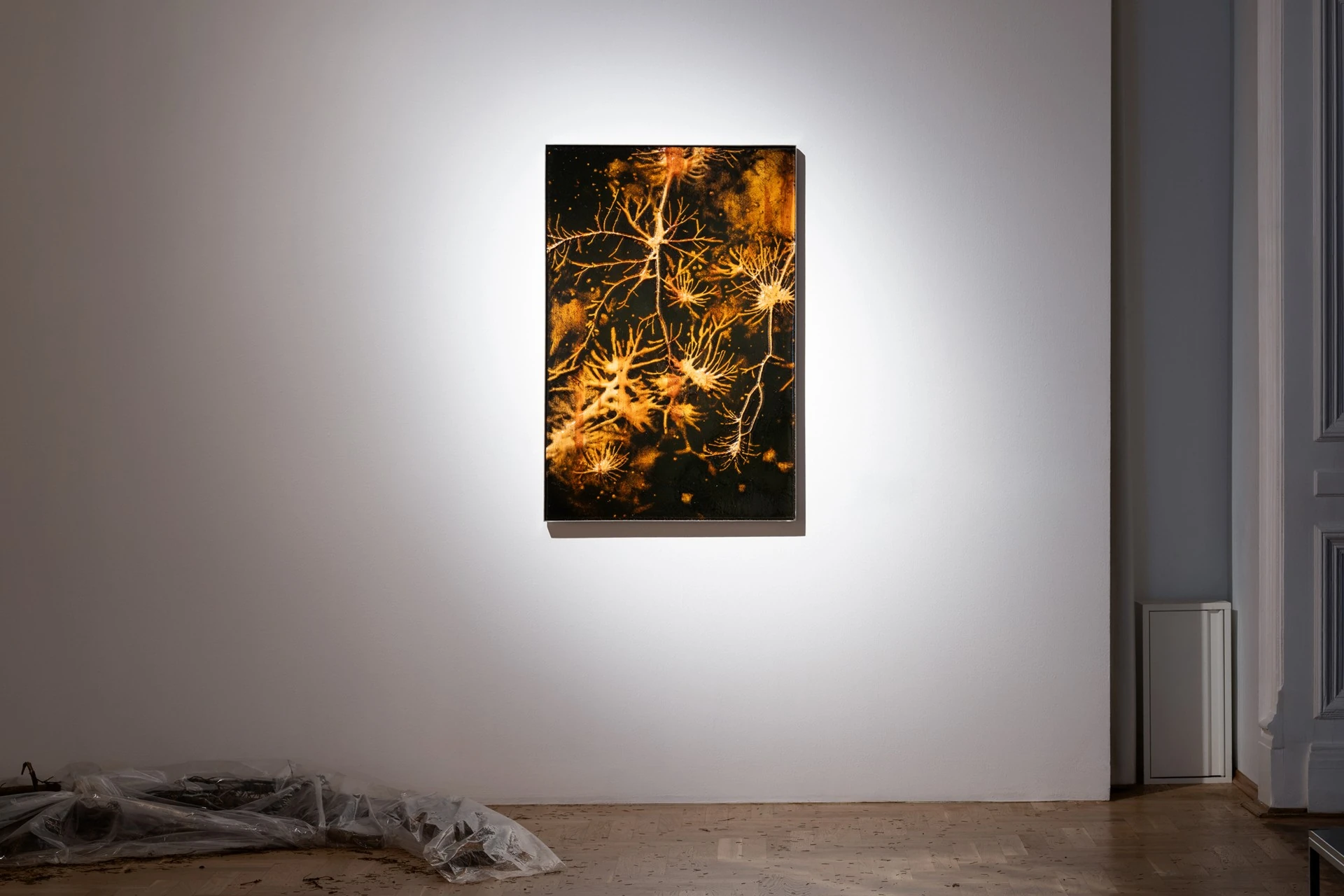 Żywica* Solar Plexus by Jura Shust, photographed by Maciej Landsberg — Installation view, Żywica* Solar Plexus, Jura Shust, Zachęta, Warsaw, 2026.