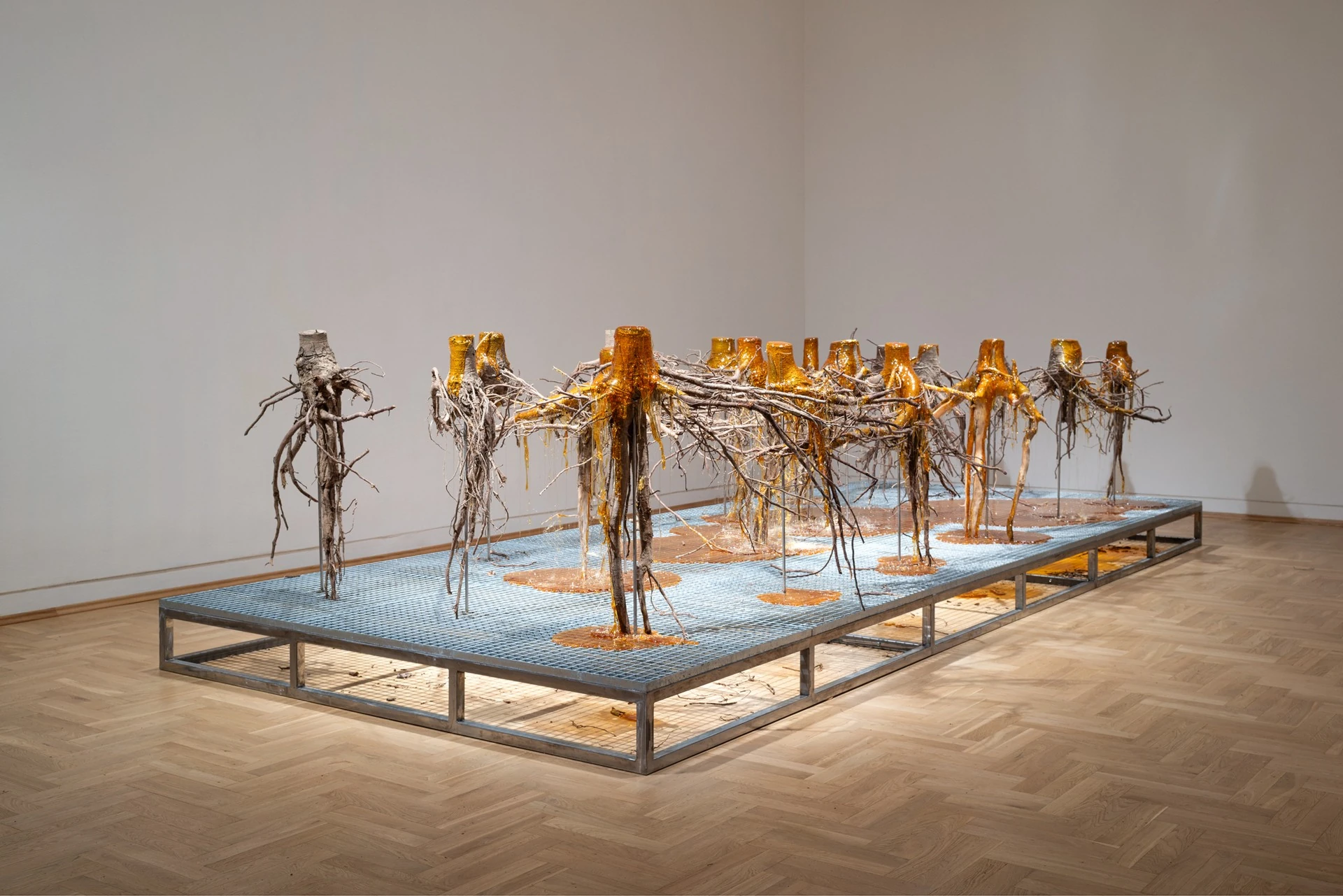 Żywica* Solar Plexus by Jura Shust, photographed by Maciej Landsberg — Installation view, Żywica* Solar Plexus, Jura Shust, Zachęta, Warsaw, 2026.