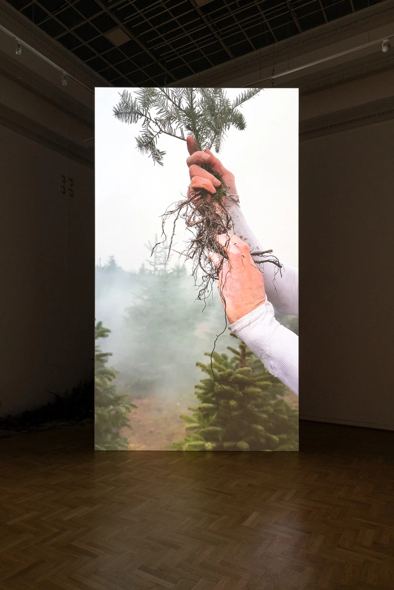 Żywica* Solar Plexus by Jura Shust, photographed by Maciej Landsberg — Installation view, Żywica* Solar Plexus, Jura Shust, Zachęta, Warsaw, 2026.