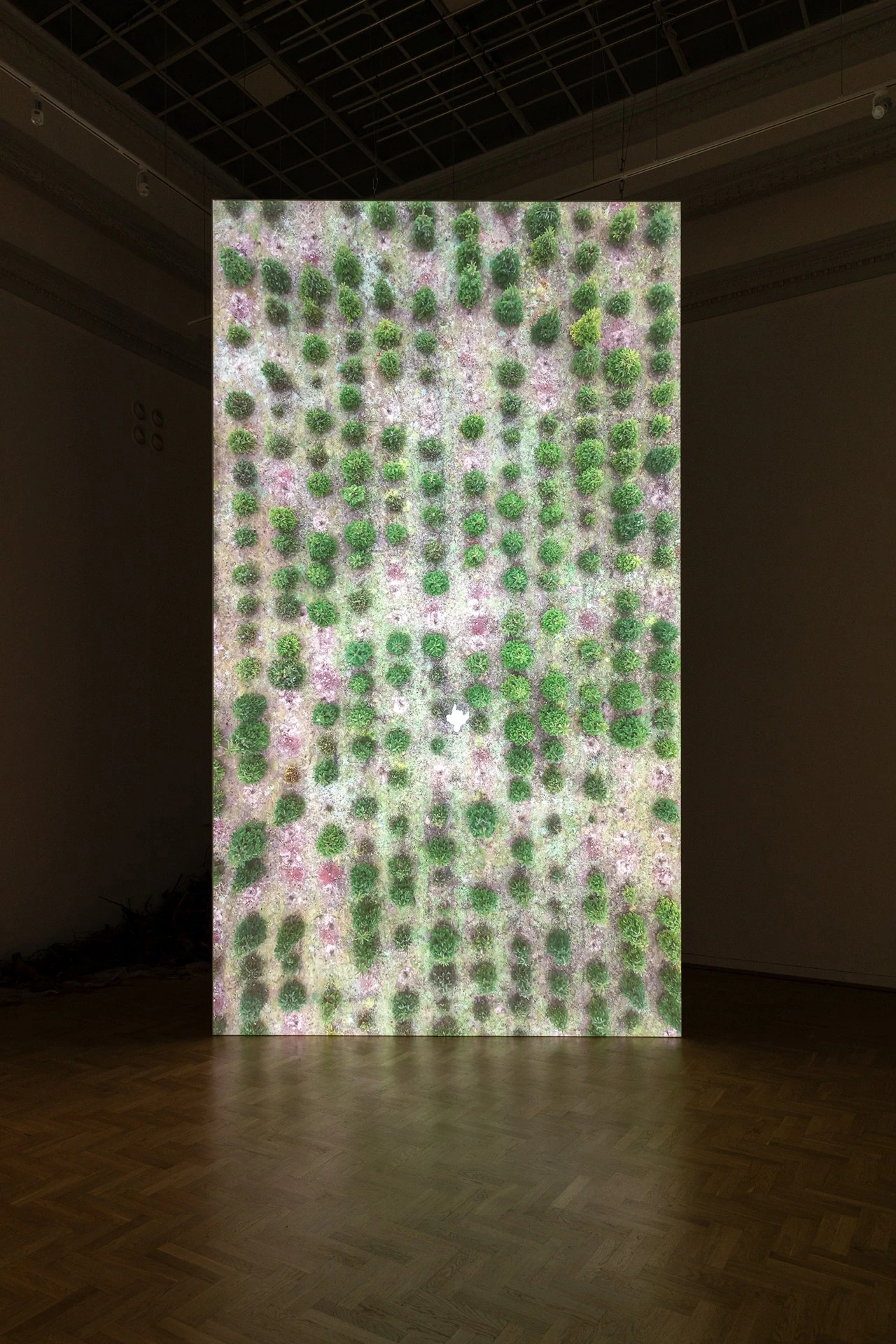 Żywica* Solar Plexus by Jura Shust, photographed by Maciej Landsberg — Installation view, Żywica* Solar Plexus, Jura Shust, Zachęta, Warsaw, 2026.