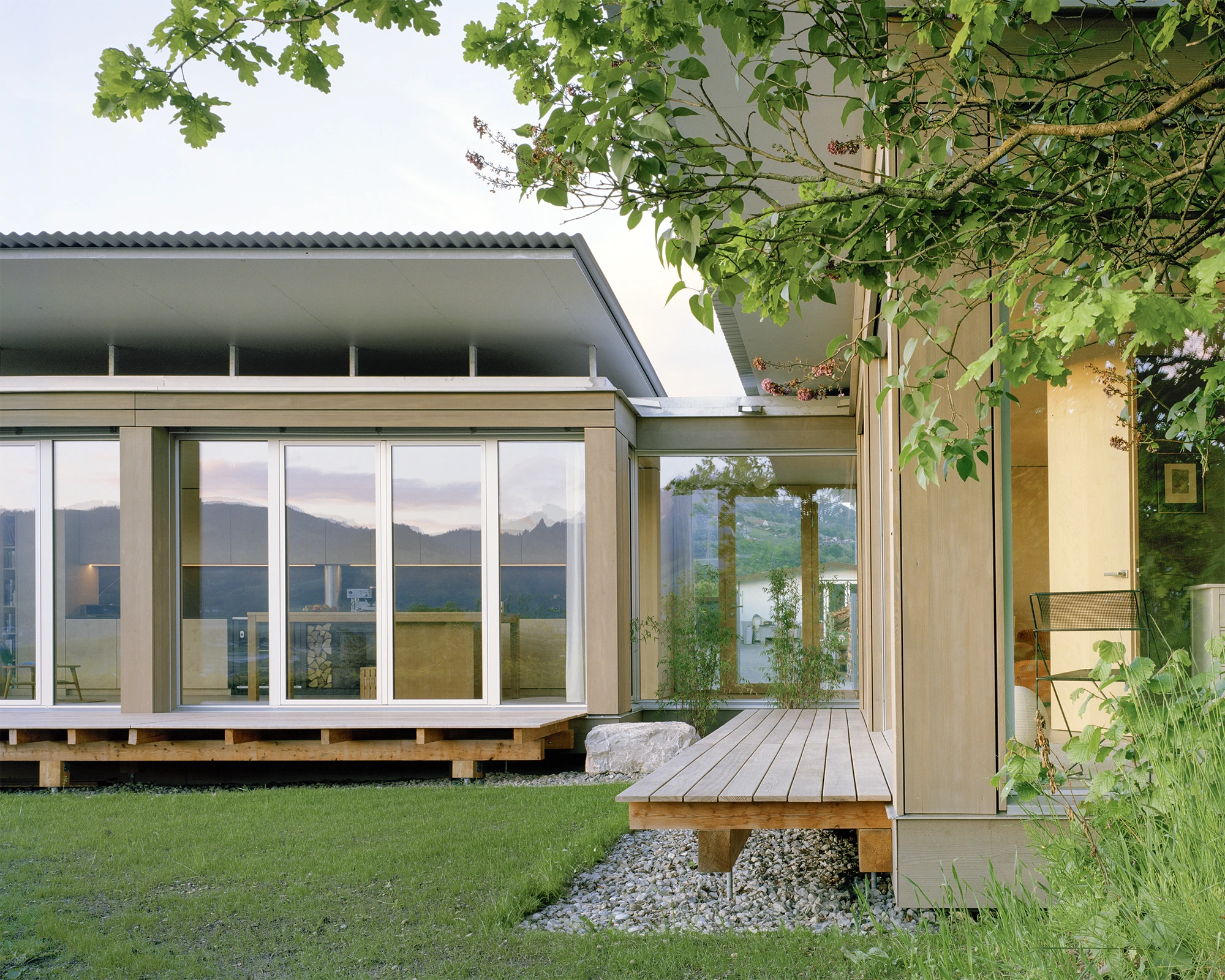Plywood House by Charly Jolliet Architecte, photographed by Maxime Delvaux — Two timber volumes meet at a glazed corner, one drawn under the existing oak, the other opening toward the valley.
