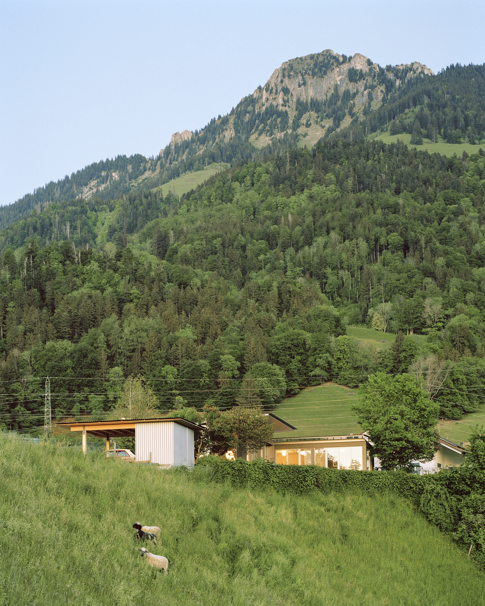 Plywood House by Charly Jolliet Architecte, photographed by Maxime Delvaux — From the surrounding meadow the timber house reads as a lightweight structure set into the green slope below the mountains.