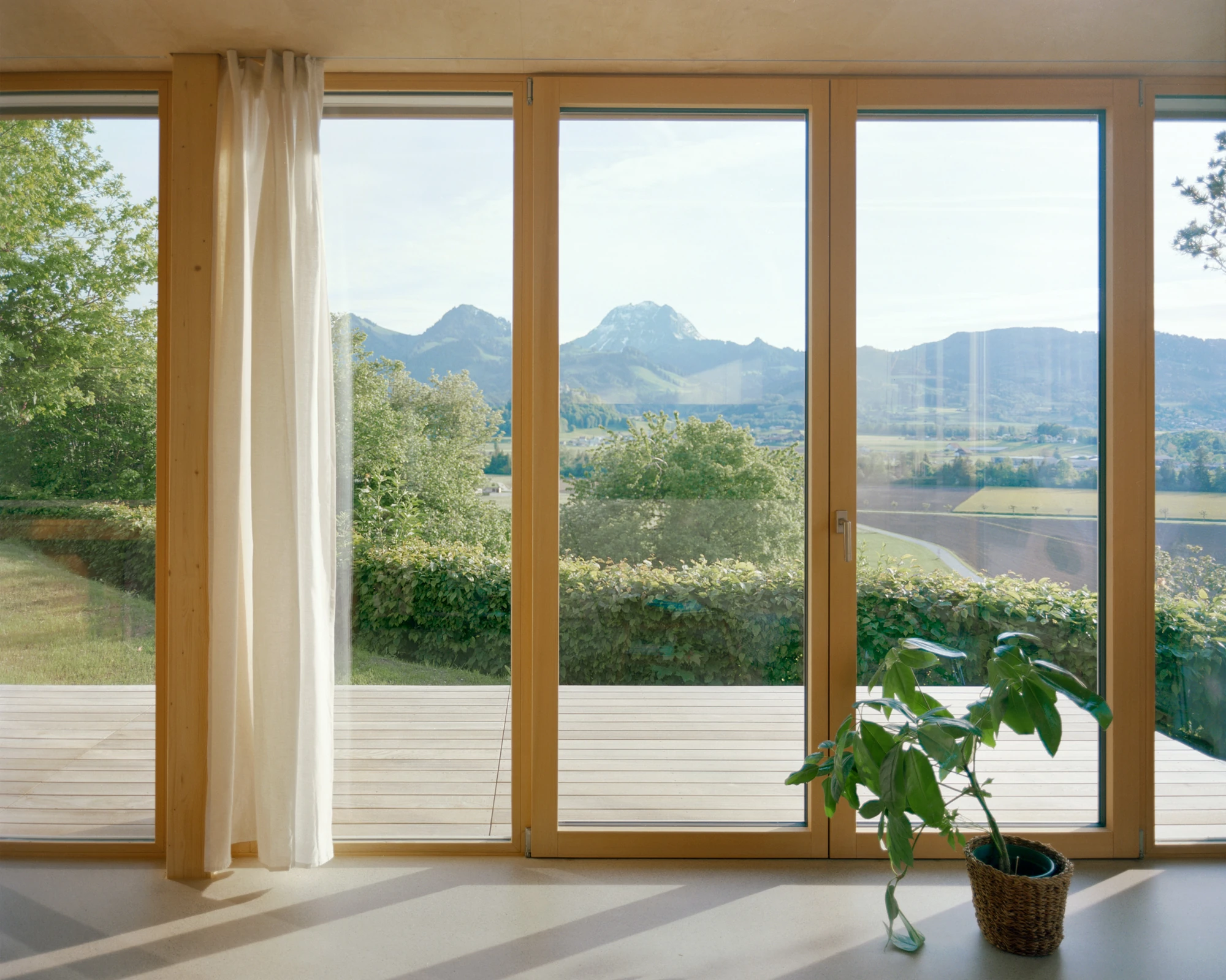 Plywood House by Charly Jolliet Architecte, photographed by Maxime Delvaux — The living volume turns entirely to glass on its valley side, the plywood ceiling carrying through to the opening.