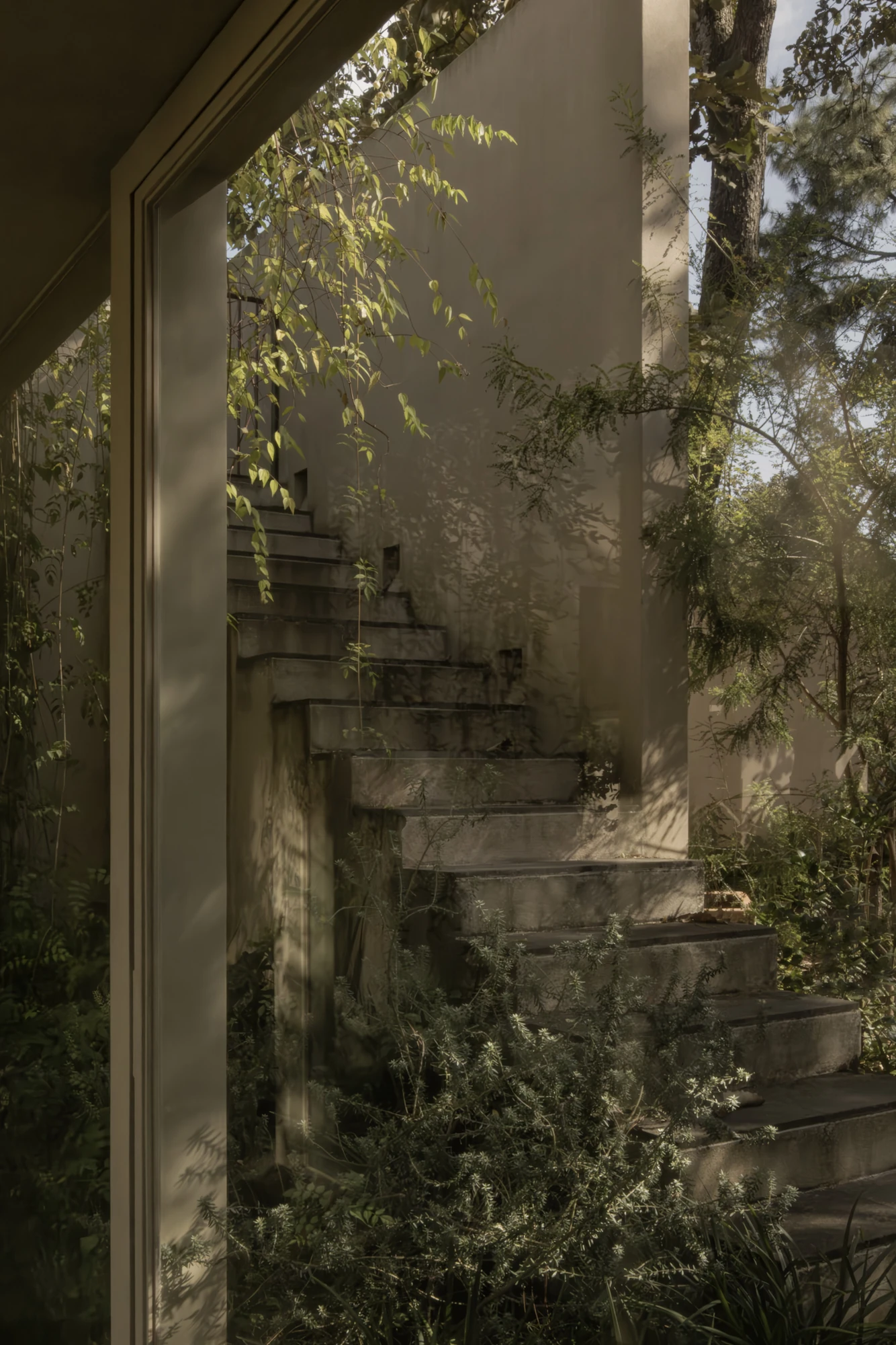 PRM39 by Ana Victoria Pérez-Gil | Saúl Figueroa, photographed by Funciono — An outdoor stair climbs between vegetation alongside the stucco walls of the house.