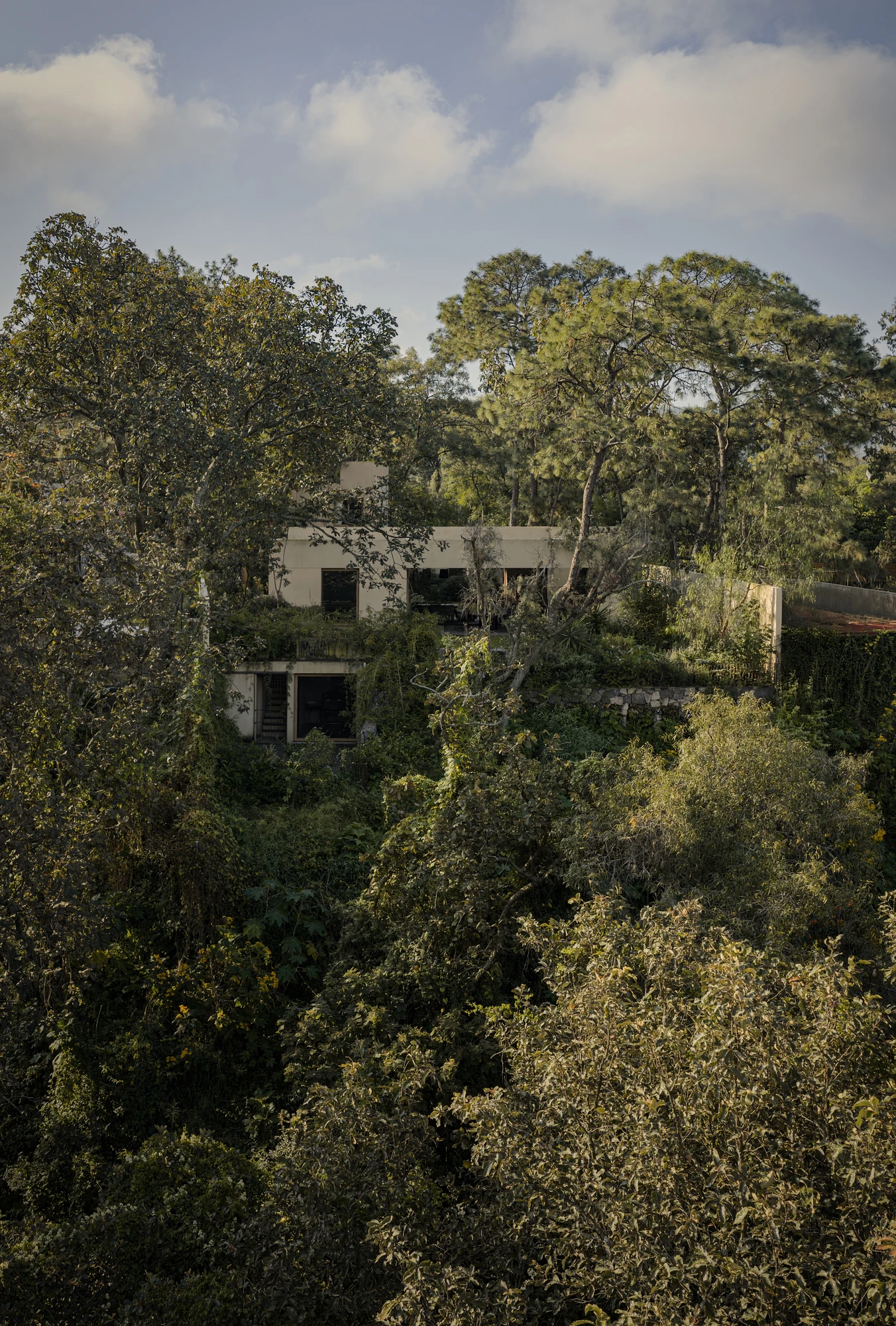 PRM39 by Ana Victoria Pérez-Gil | Saúl Figueroa, photographed by Funciono — PRM39 held within a highly dense body of existing trees in La Primavera forest.