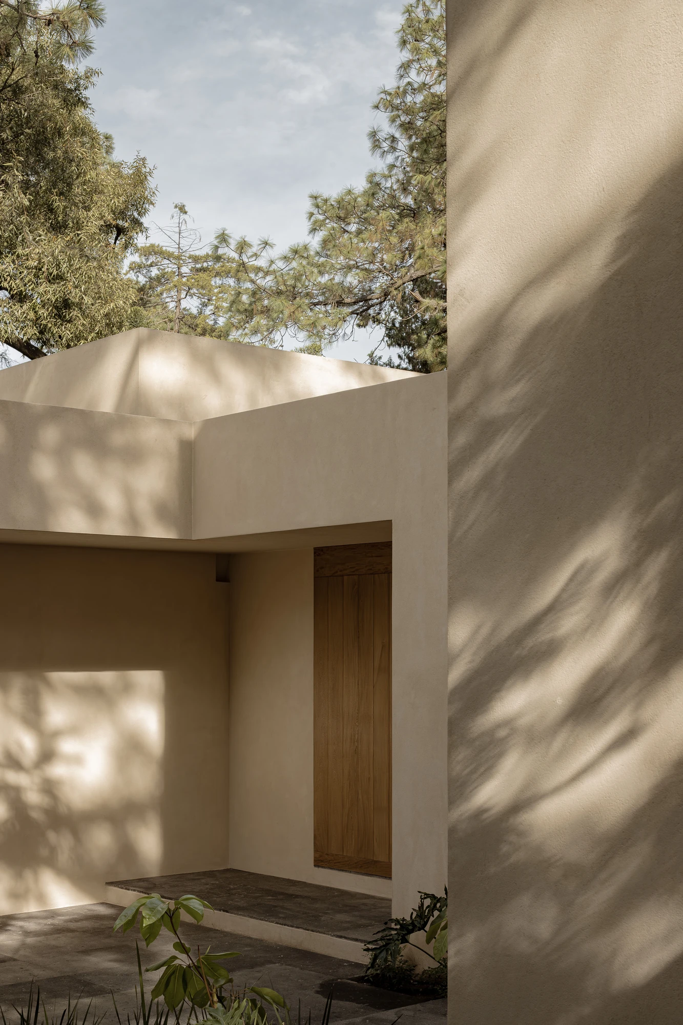 PRM39 by Ana Victoria Pérez-Gil | Saúl Figueroa, photographed by Funciono — A glazed walkway runs on stone flooring between courtyards, the forest pressing at the glass.