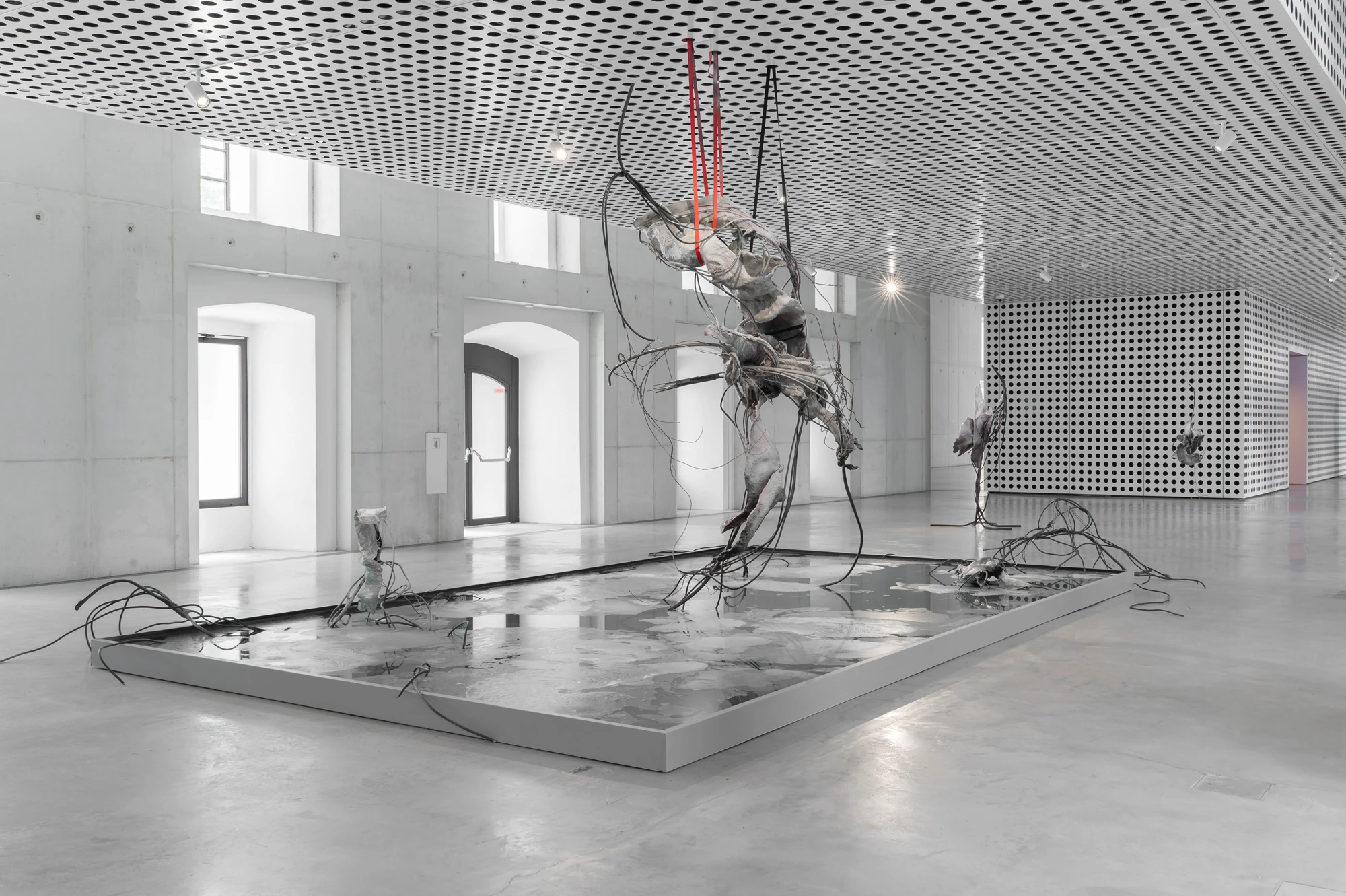 Accomplice by Yein Lee at Cukrarna
