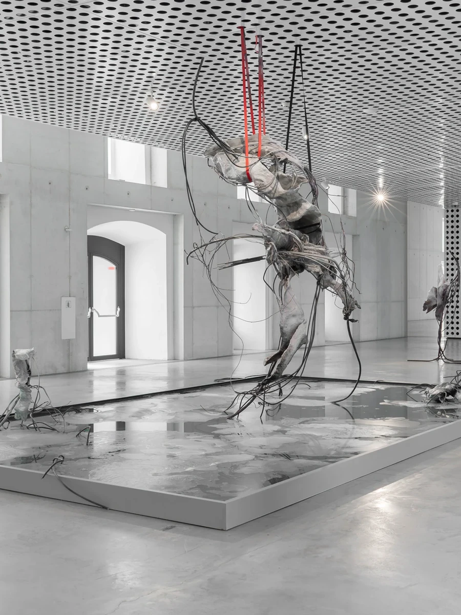 Accomplice by Yein Lee — Ljubljana, Slovenia: matter under strain, held in provisional balance across a flooded gallery floor